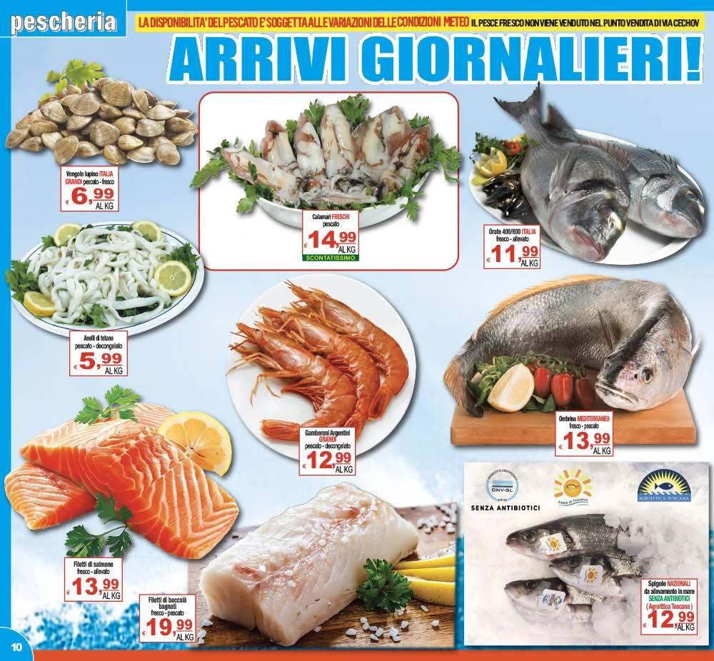 Flyer page 10