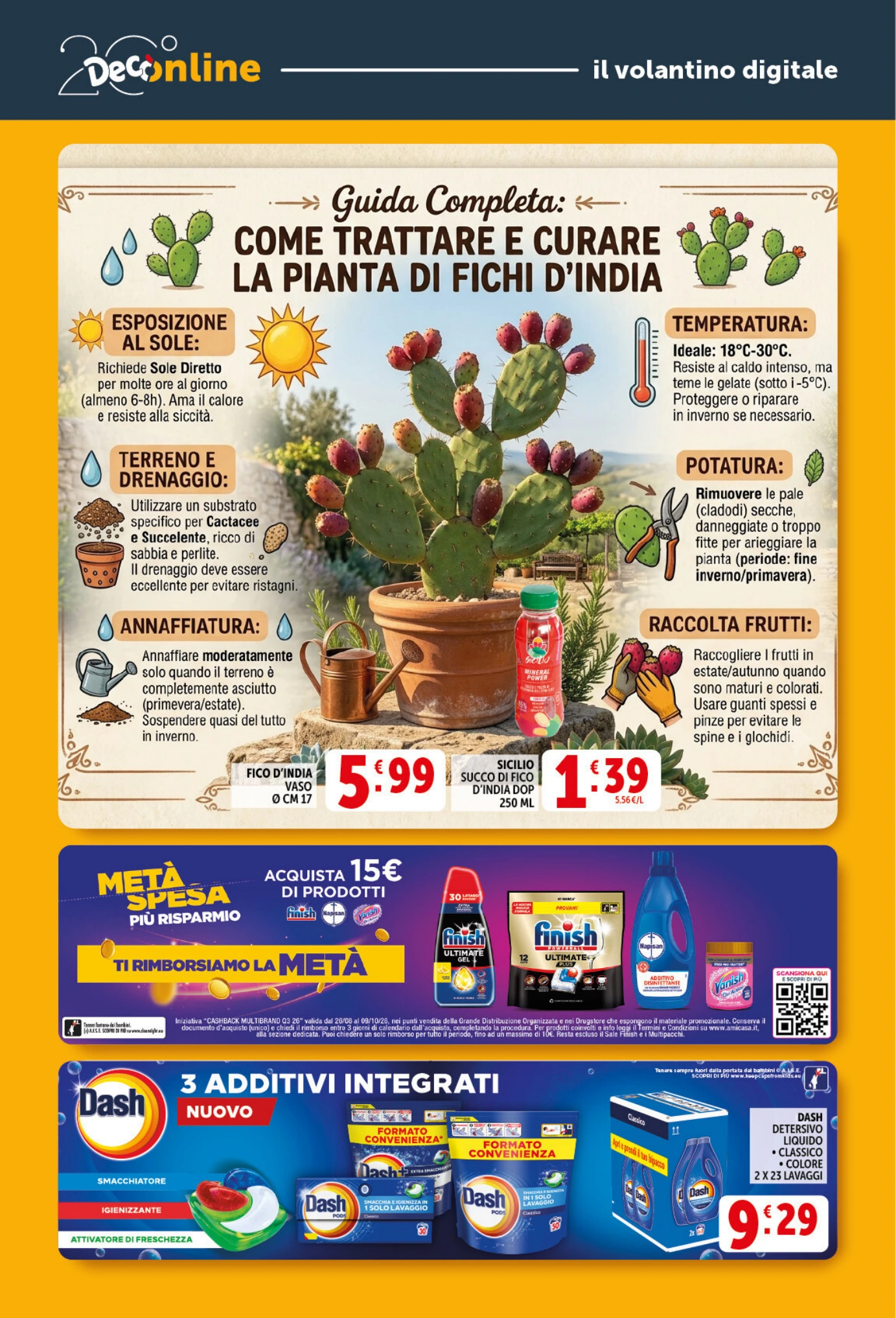 Flyer page 30
