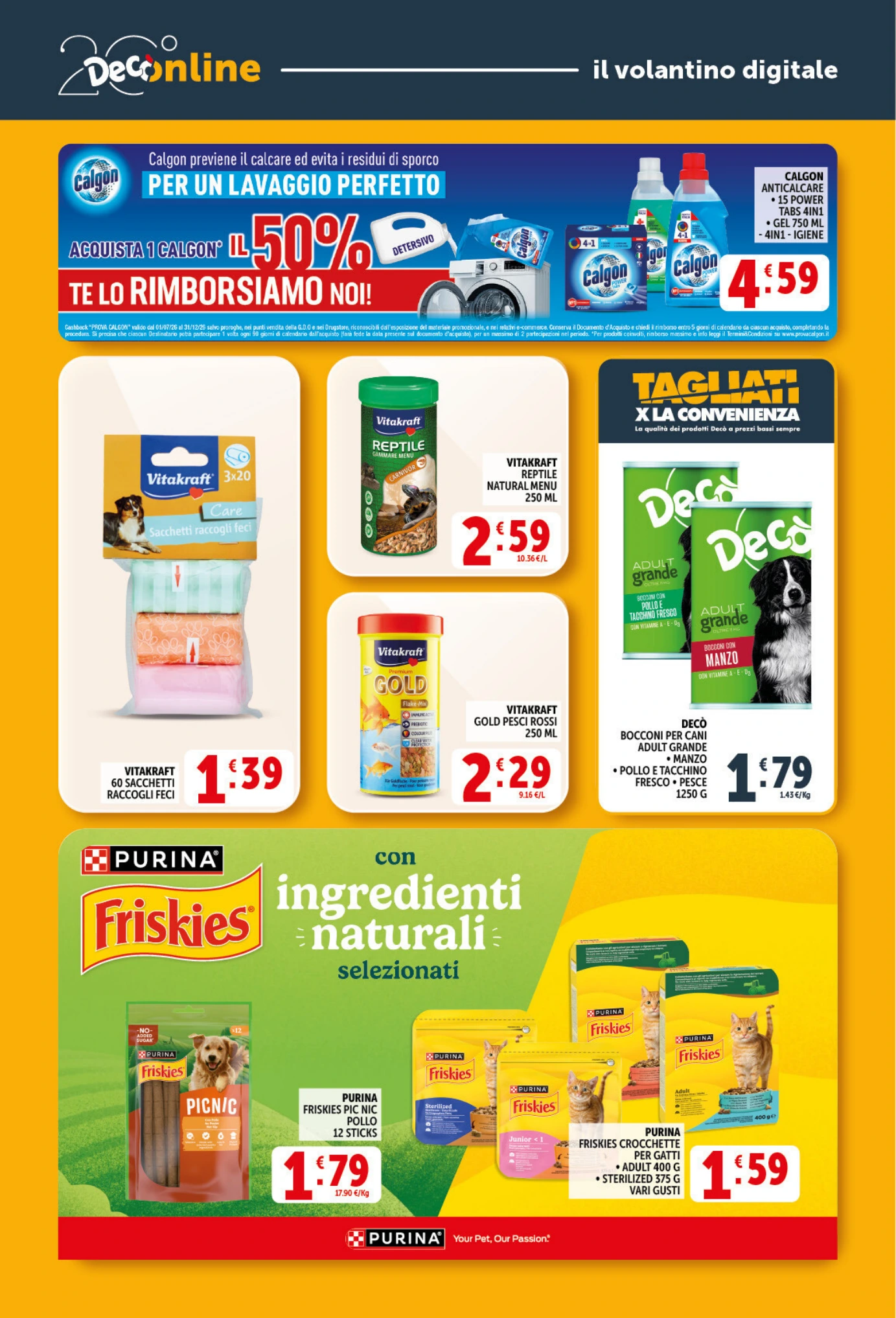 Flyer page 31