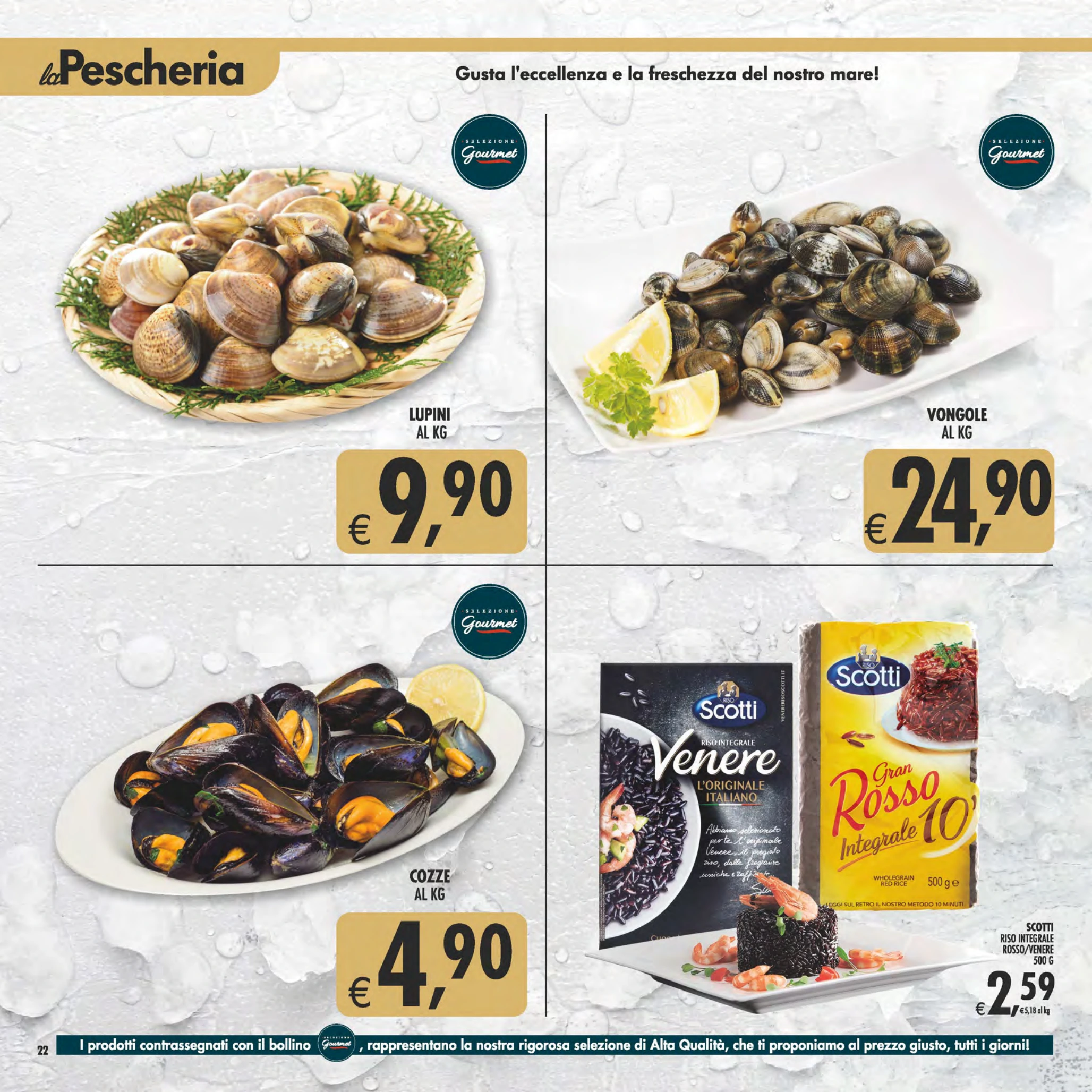 Flyer page 22