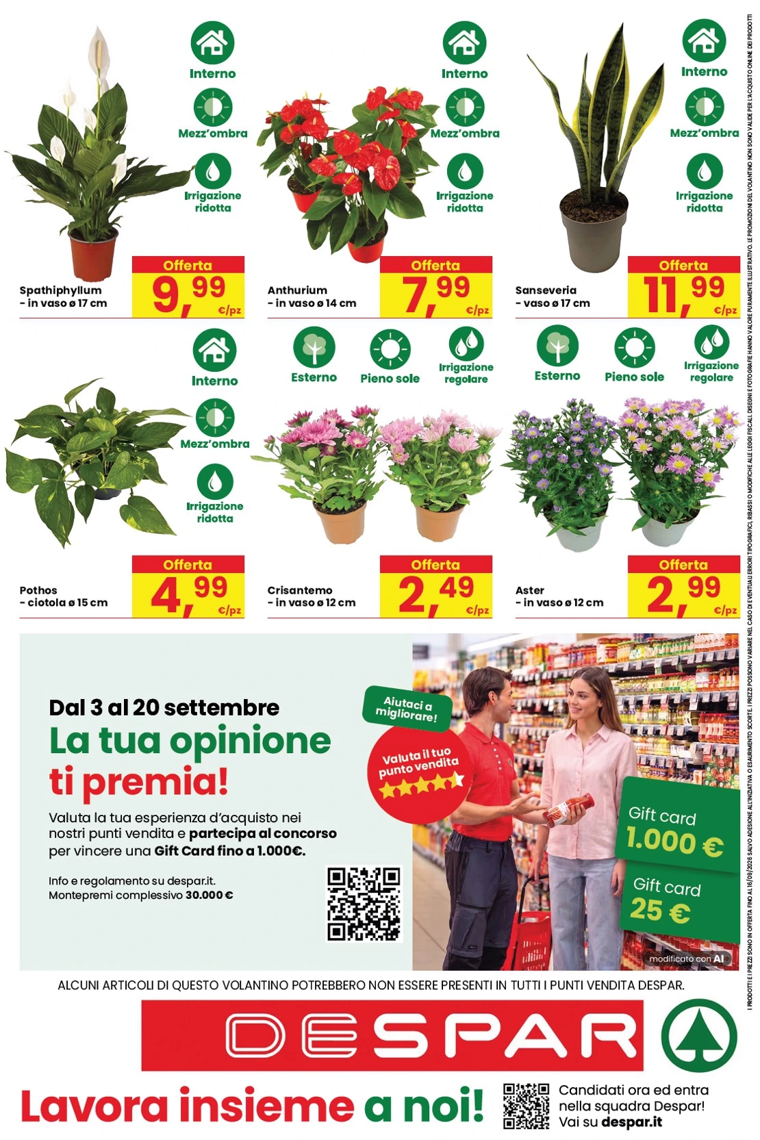 Flyer page 16