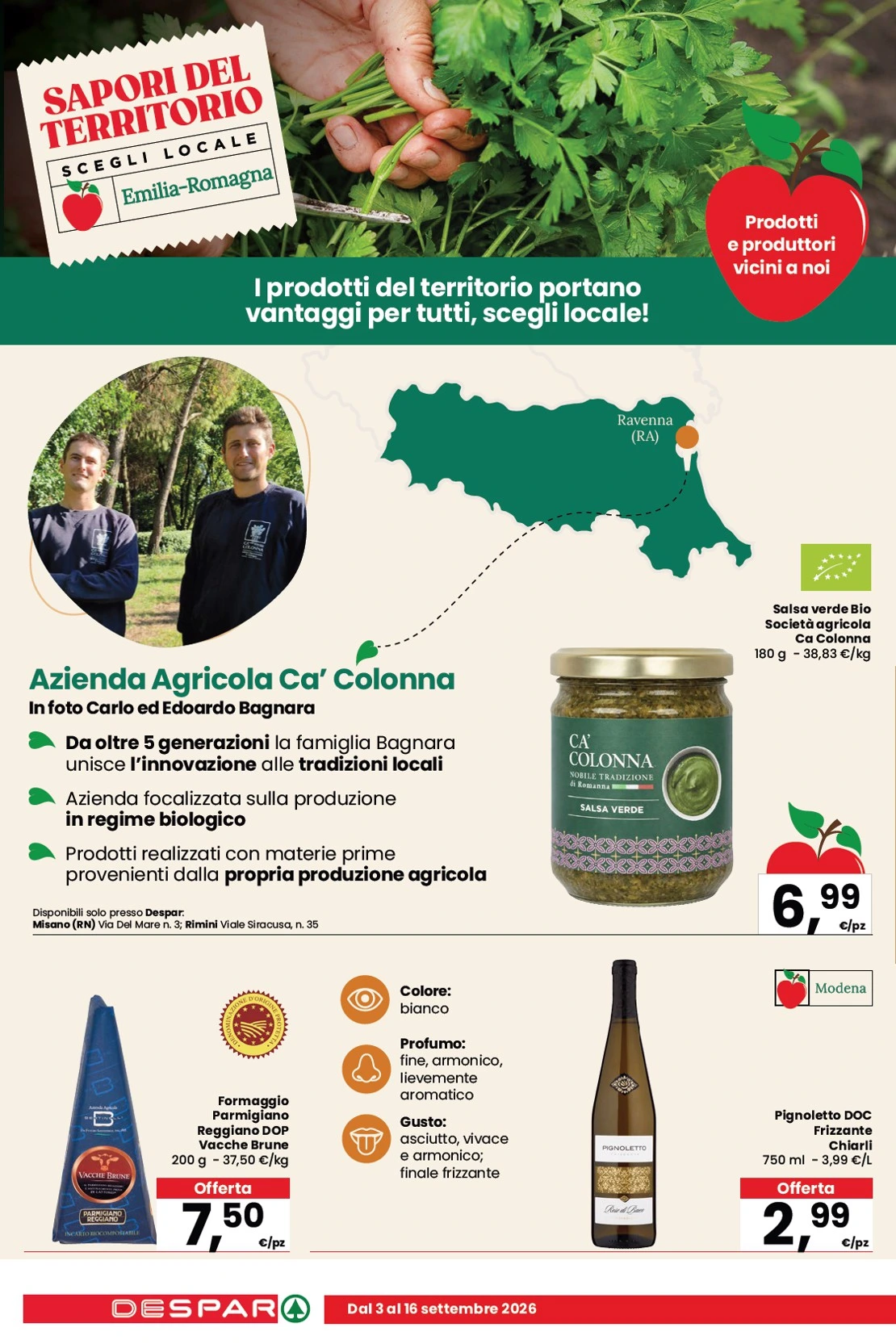 Flyer page 8