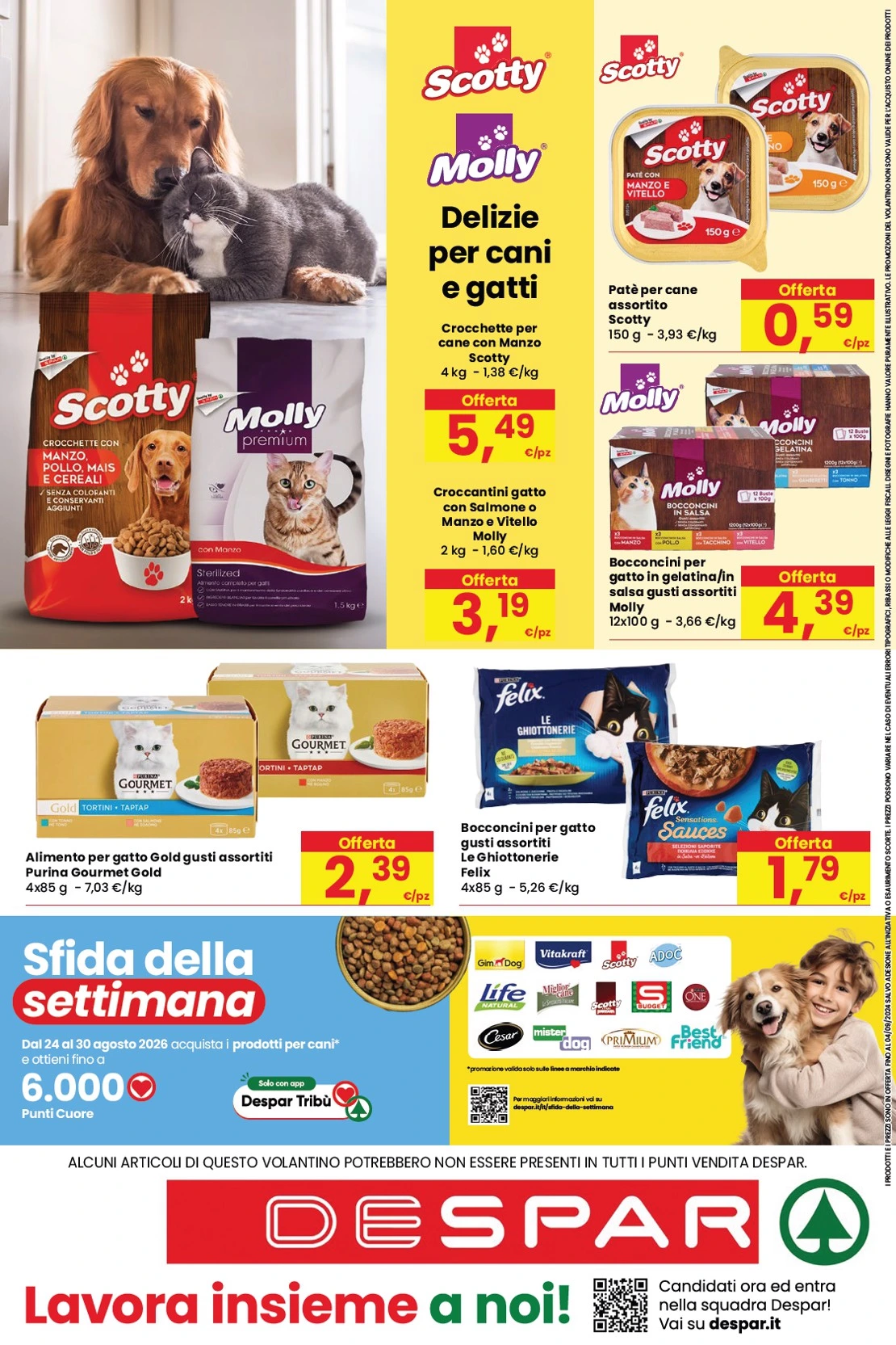 Flyer page 16