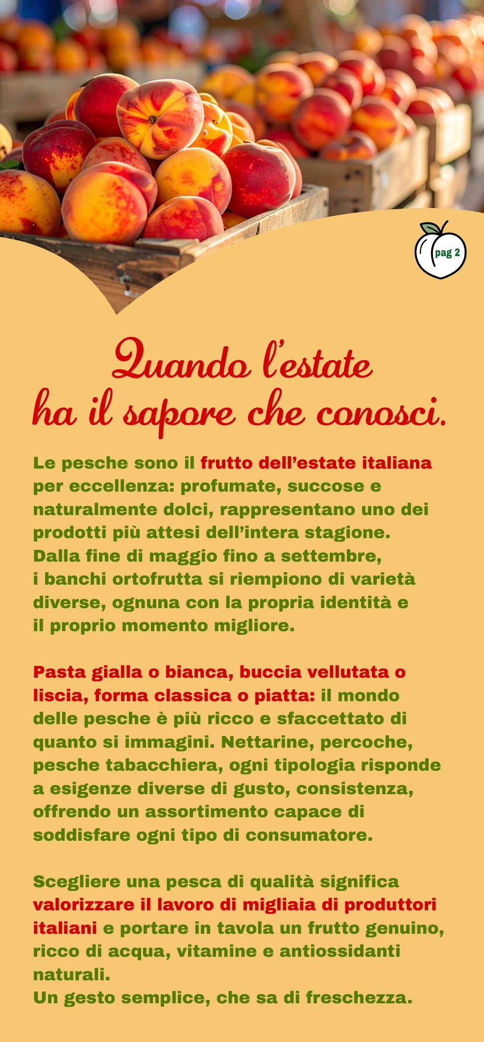 Flyer page 2