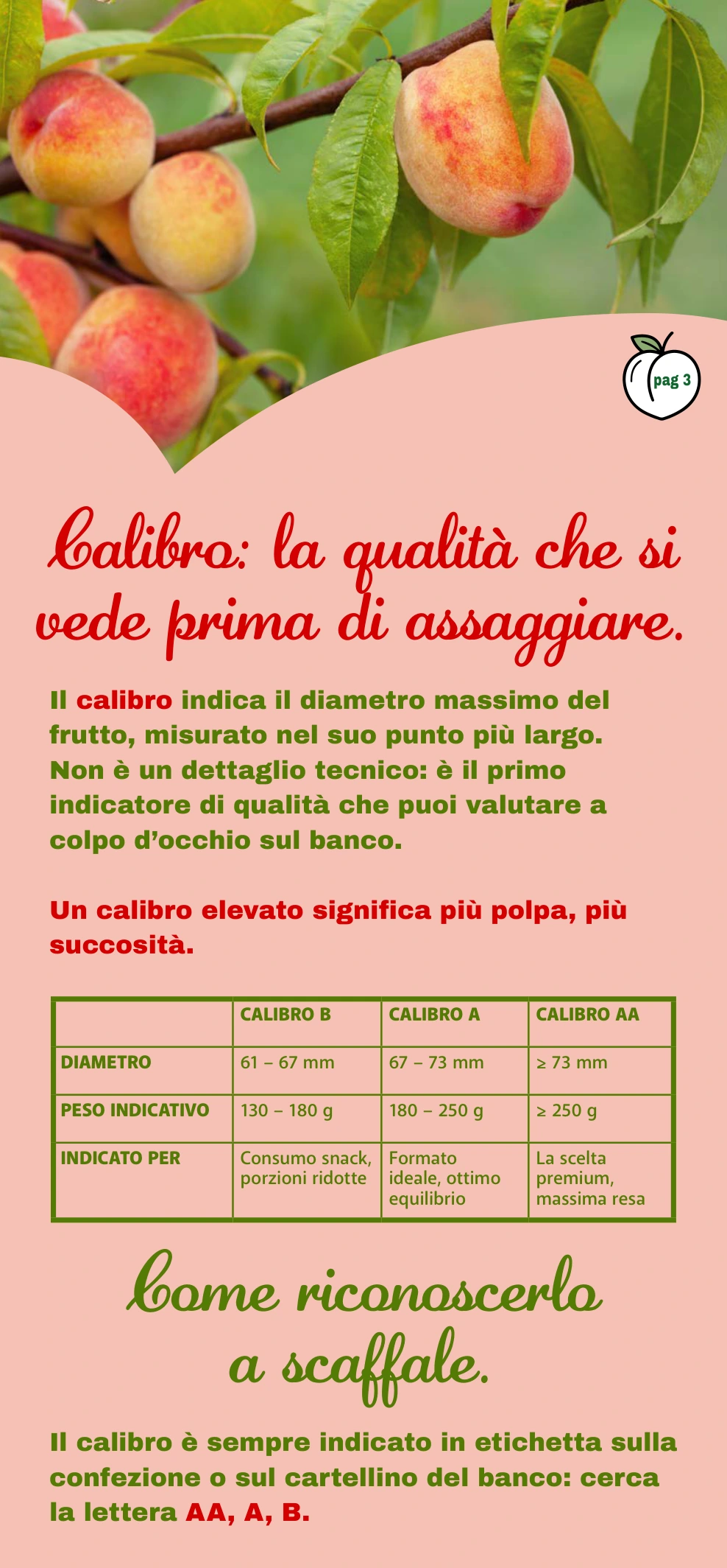 Flyer page 3