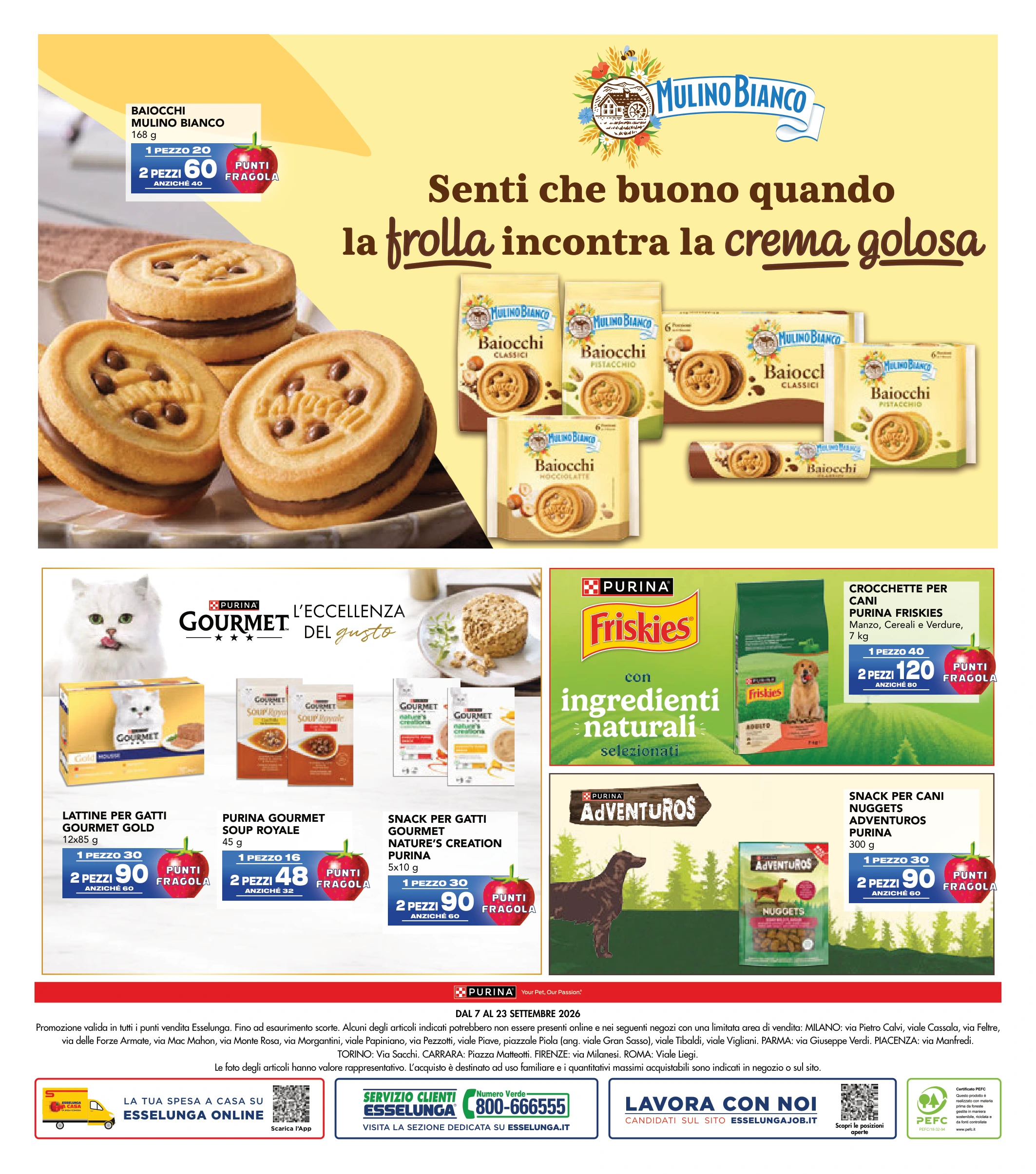 Flyer page 12