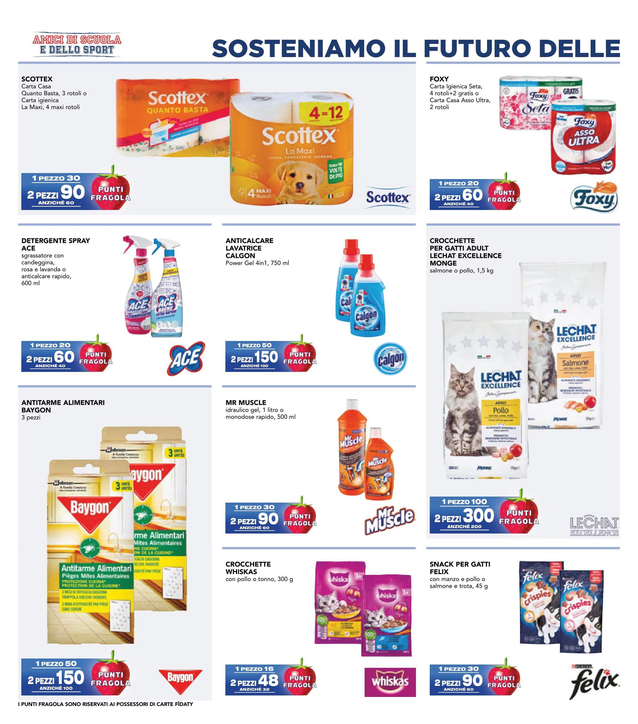 Flyer page 22