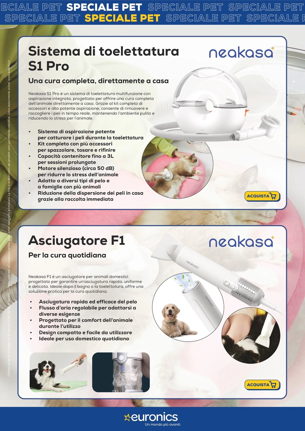 Flyer page 11