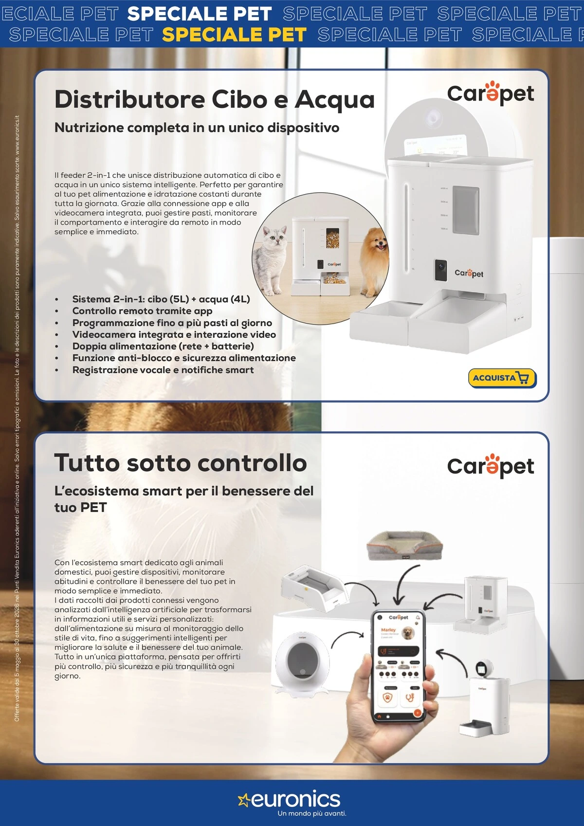 Flyer page 6