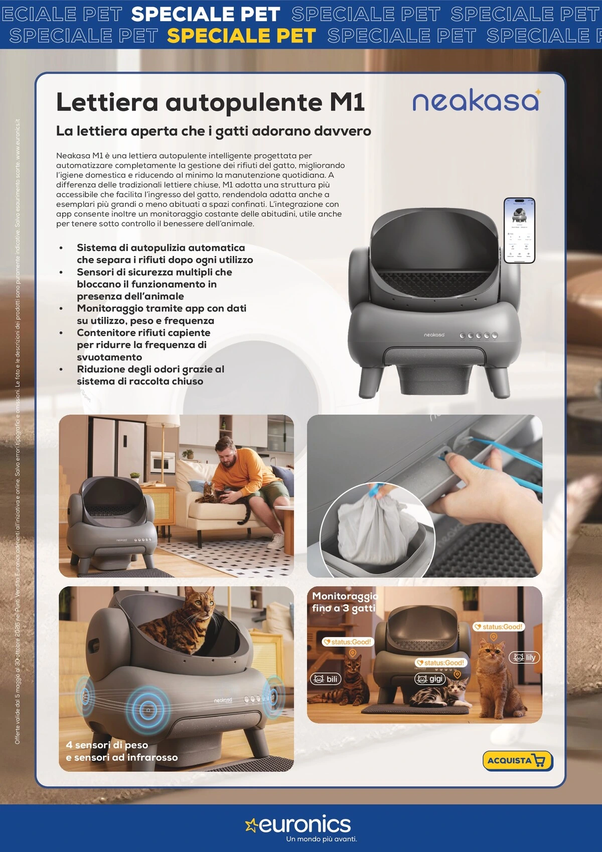 Flyer page 8