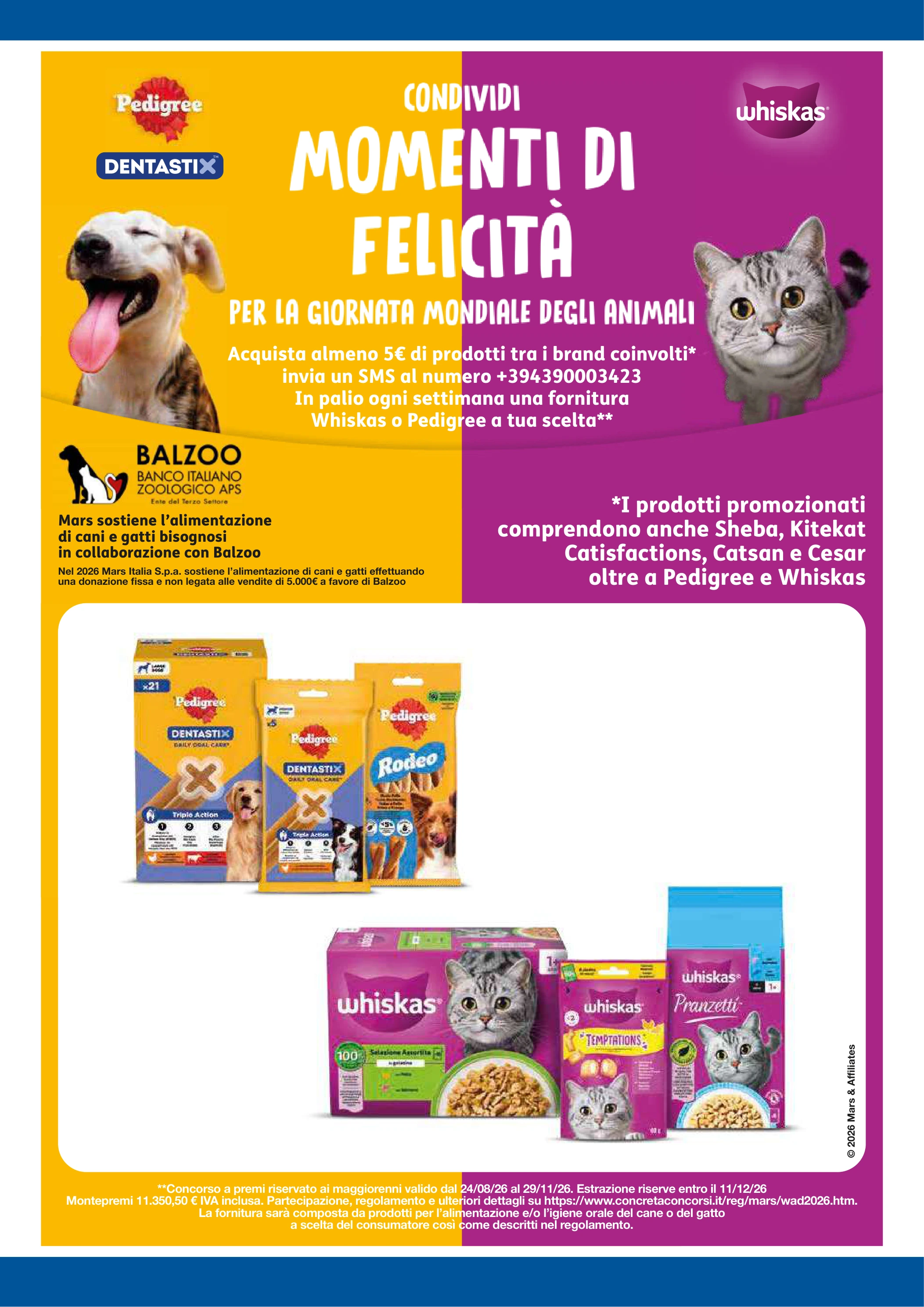 Flyer page 6