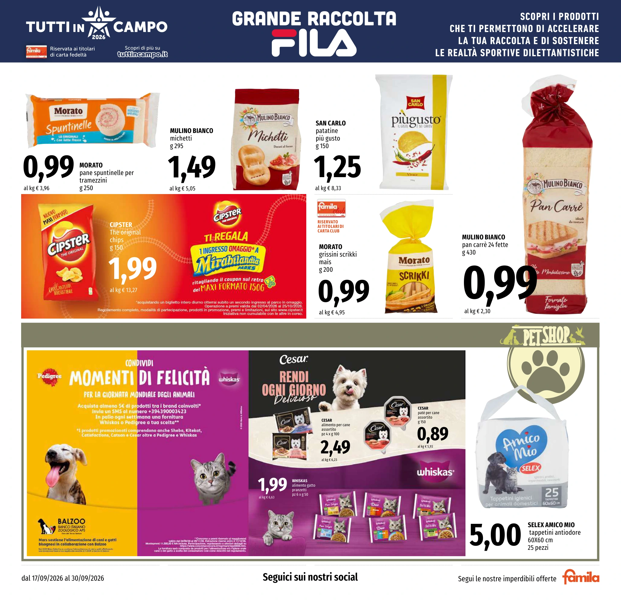 Flyer page 15