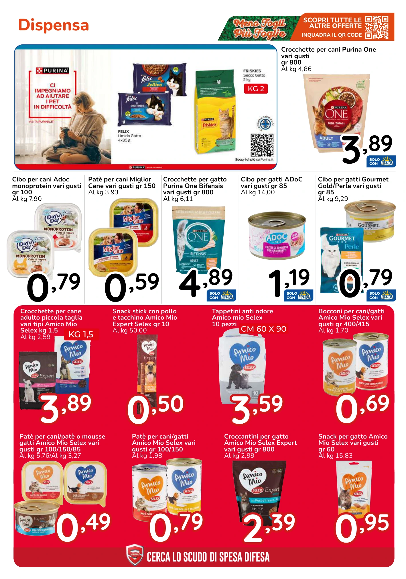 Flyer page 43