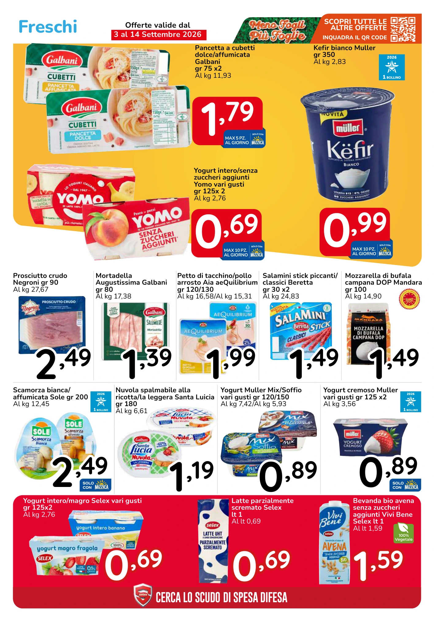 Flyer page 17