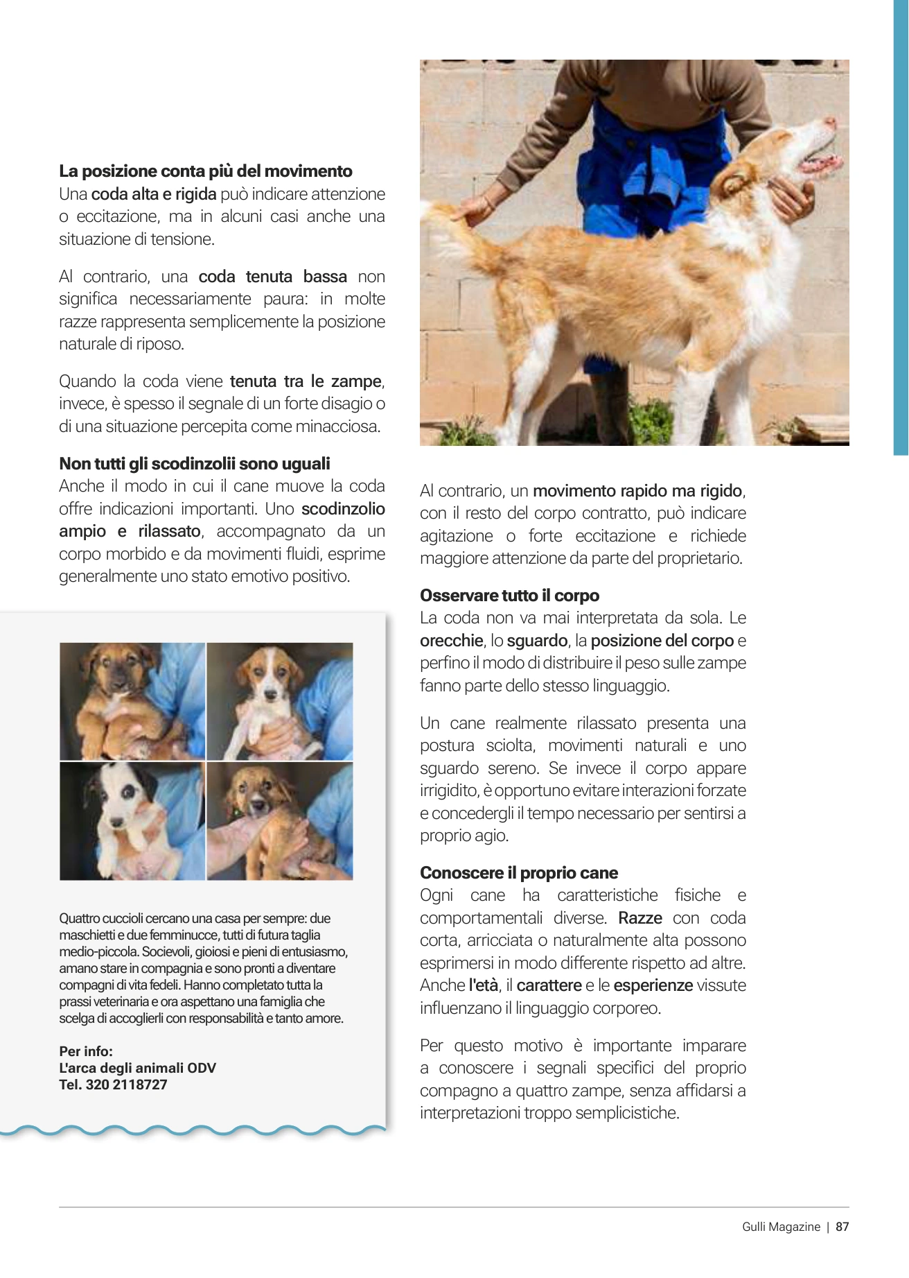 Flyer page 86
