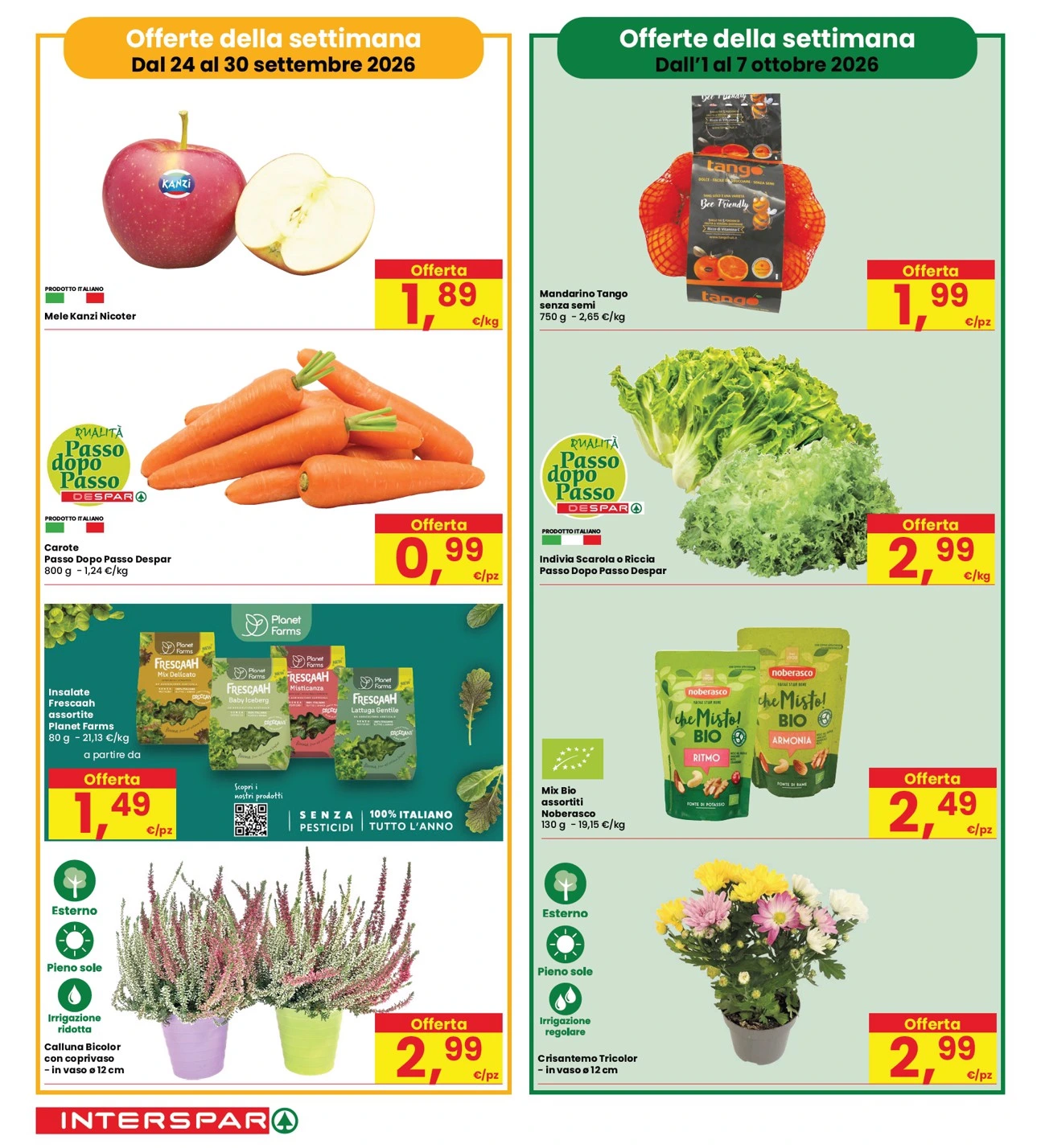 Flyer page 6