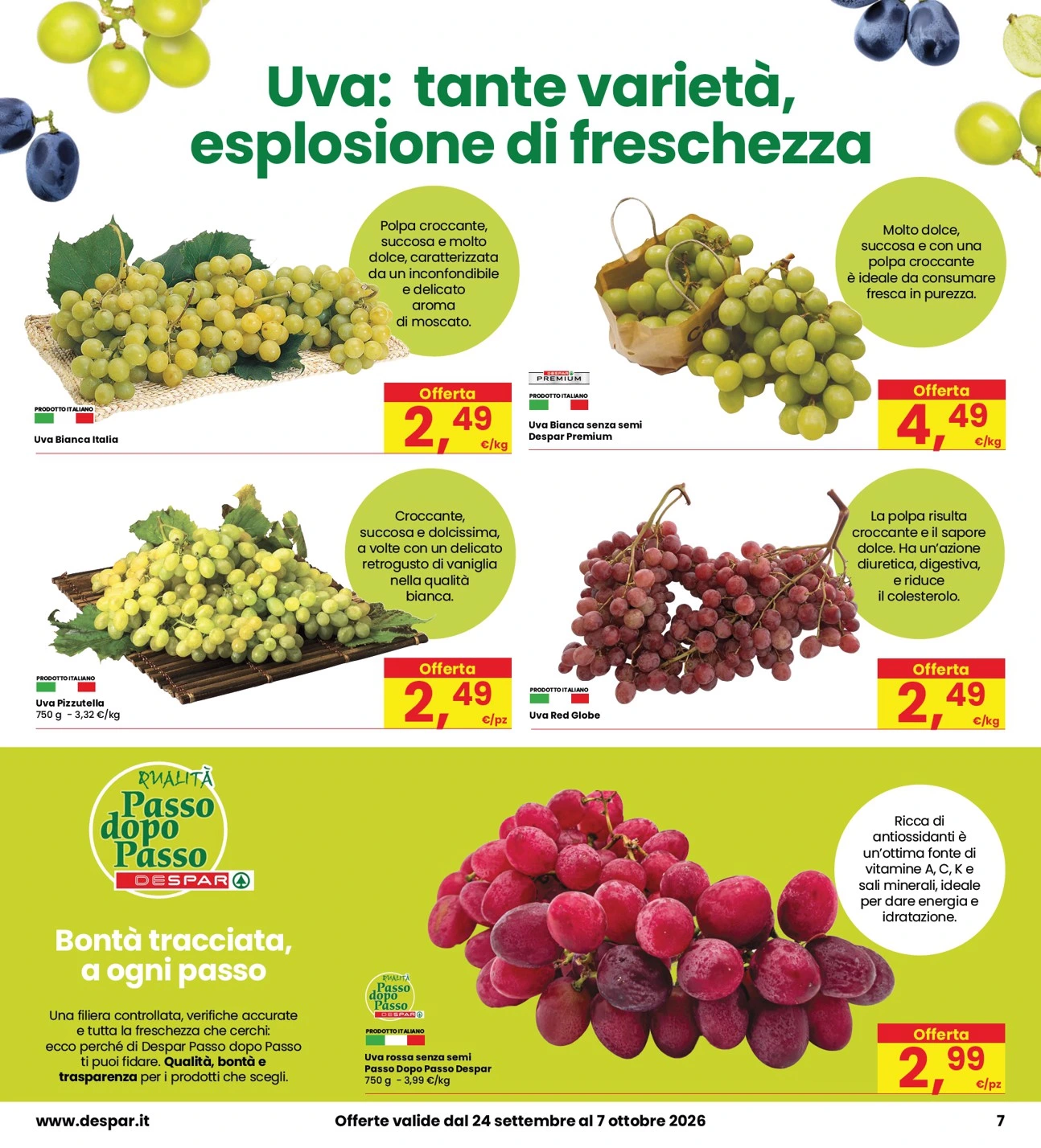 Flyer page 7