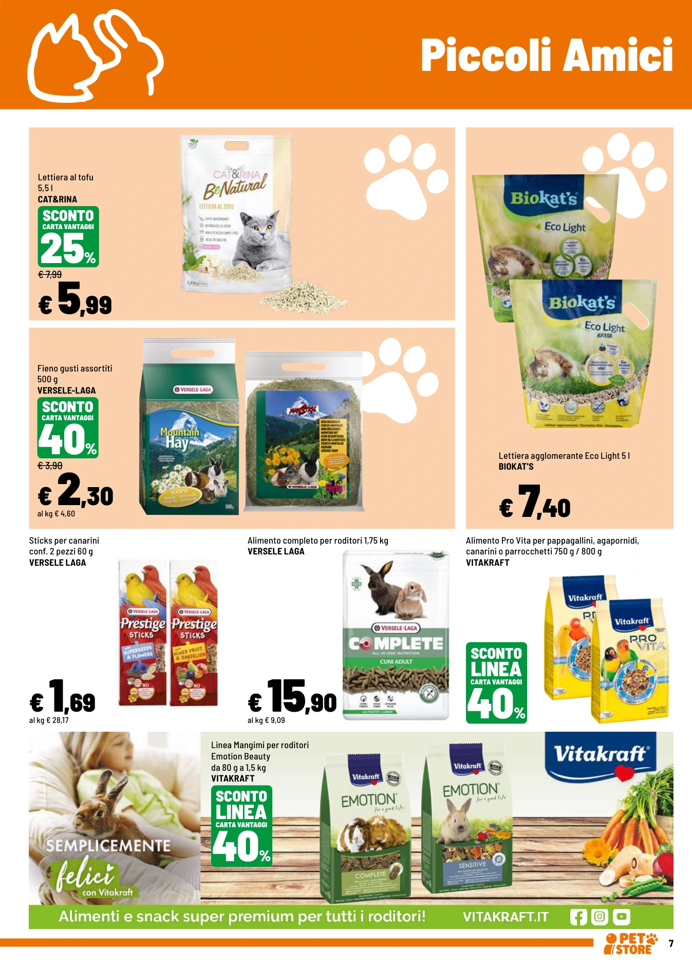 Flyer page 7