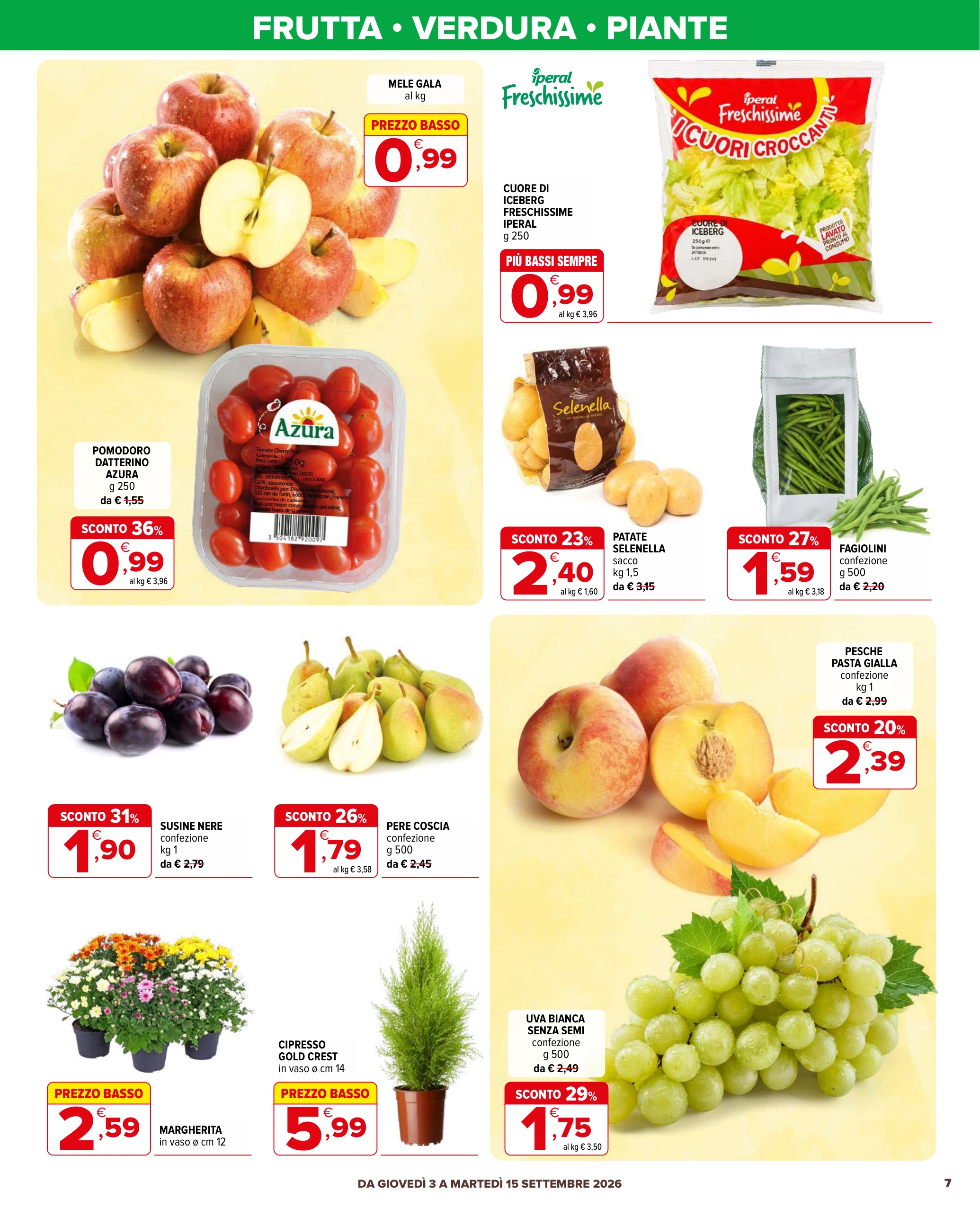 Flyer page 7
