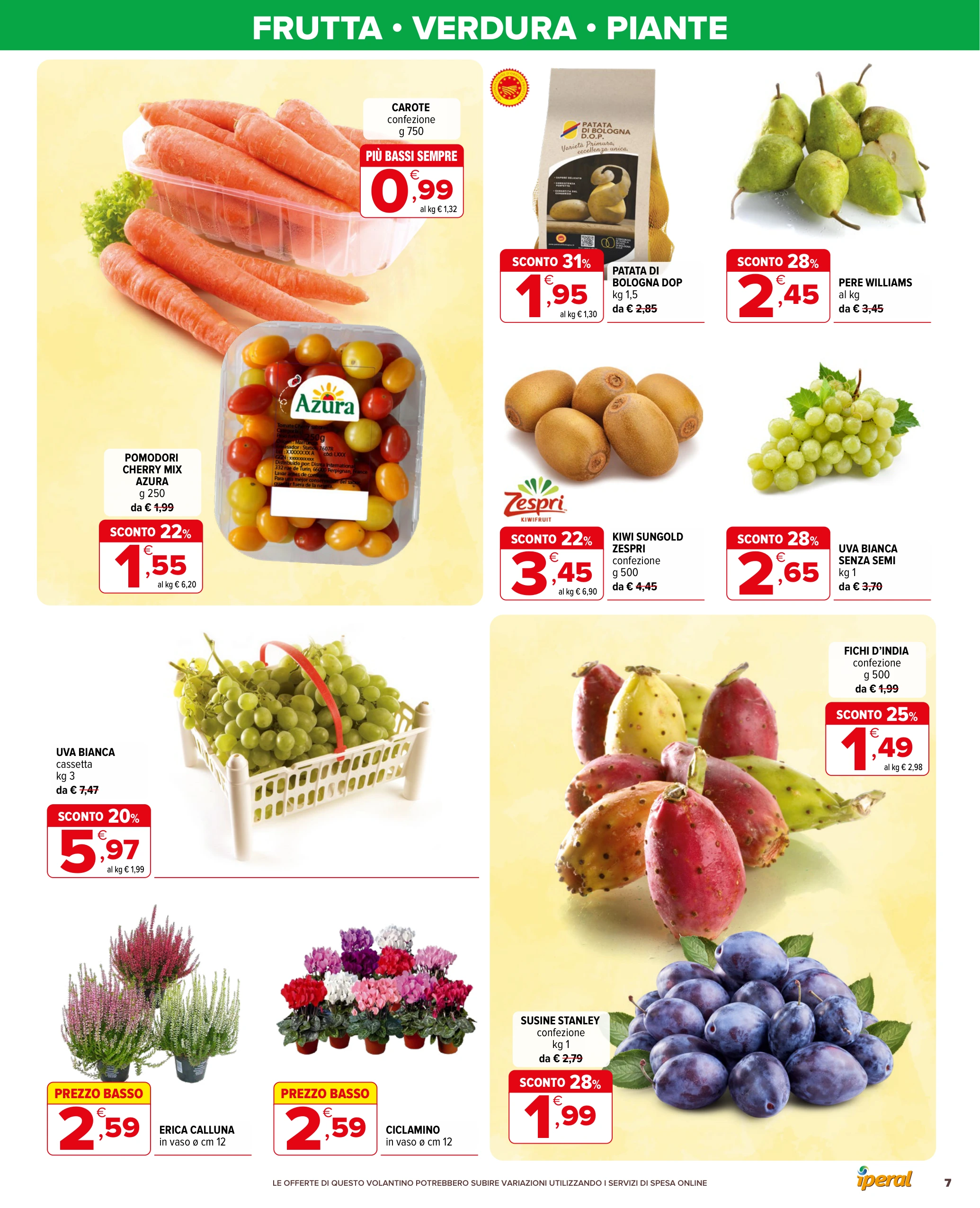 Flyer page 7