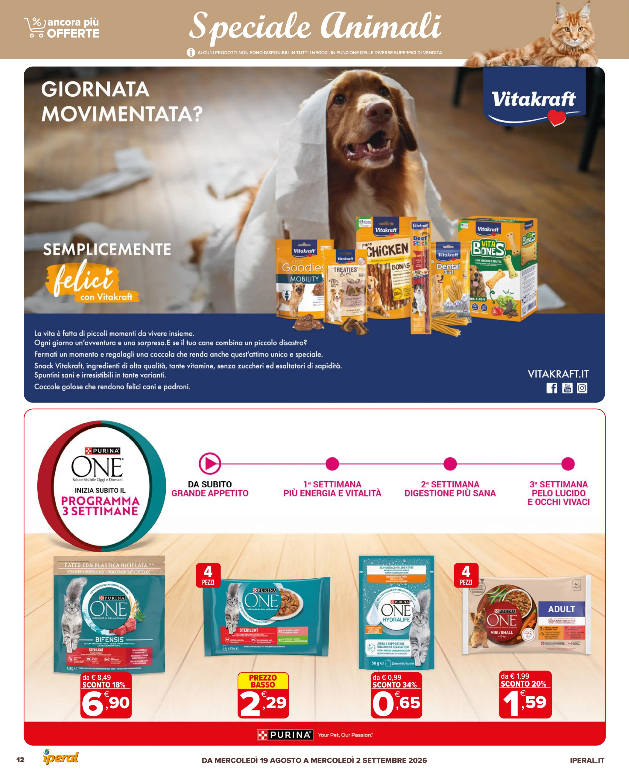 Flyer page 12