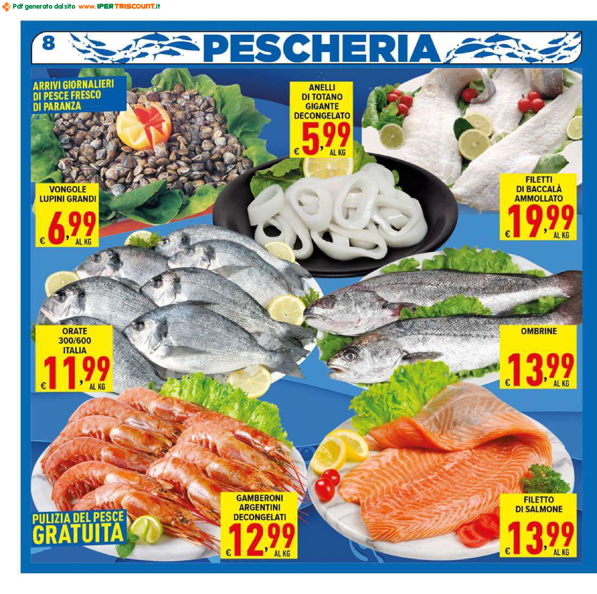 Flyer page 8