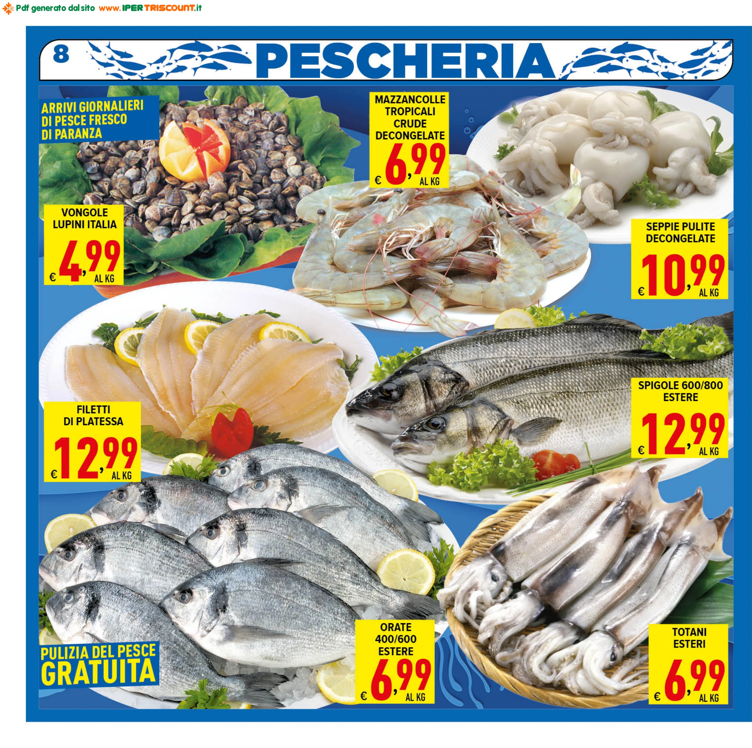 Flyer page 8