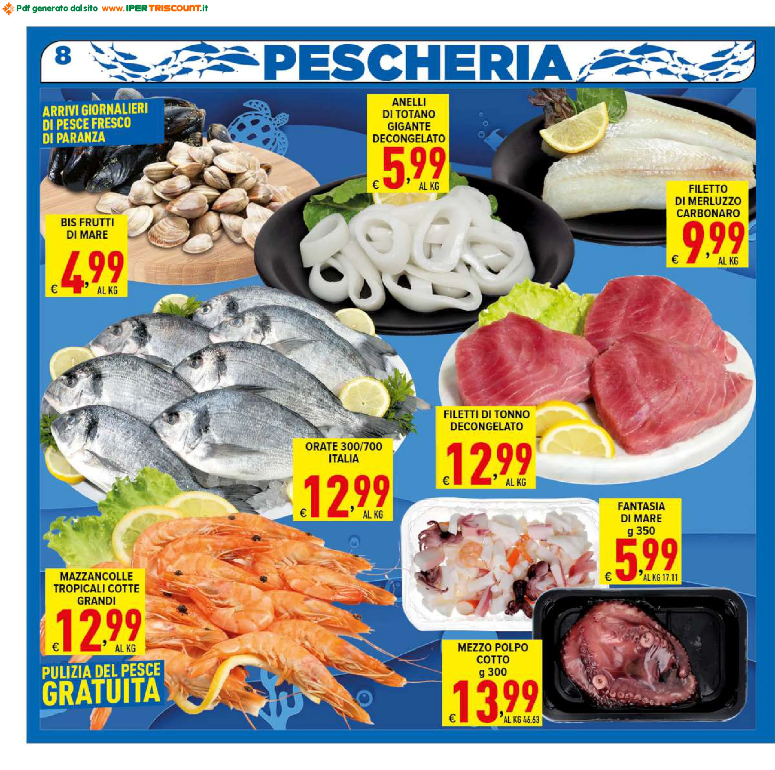 Flyer page 8