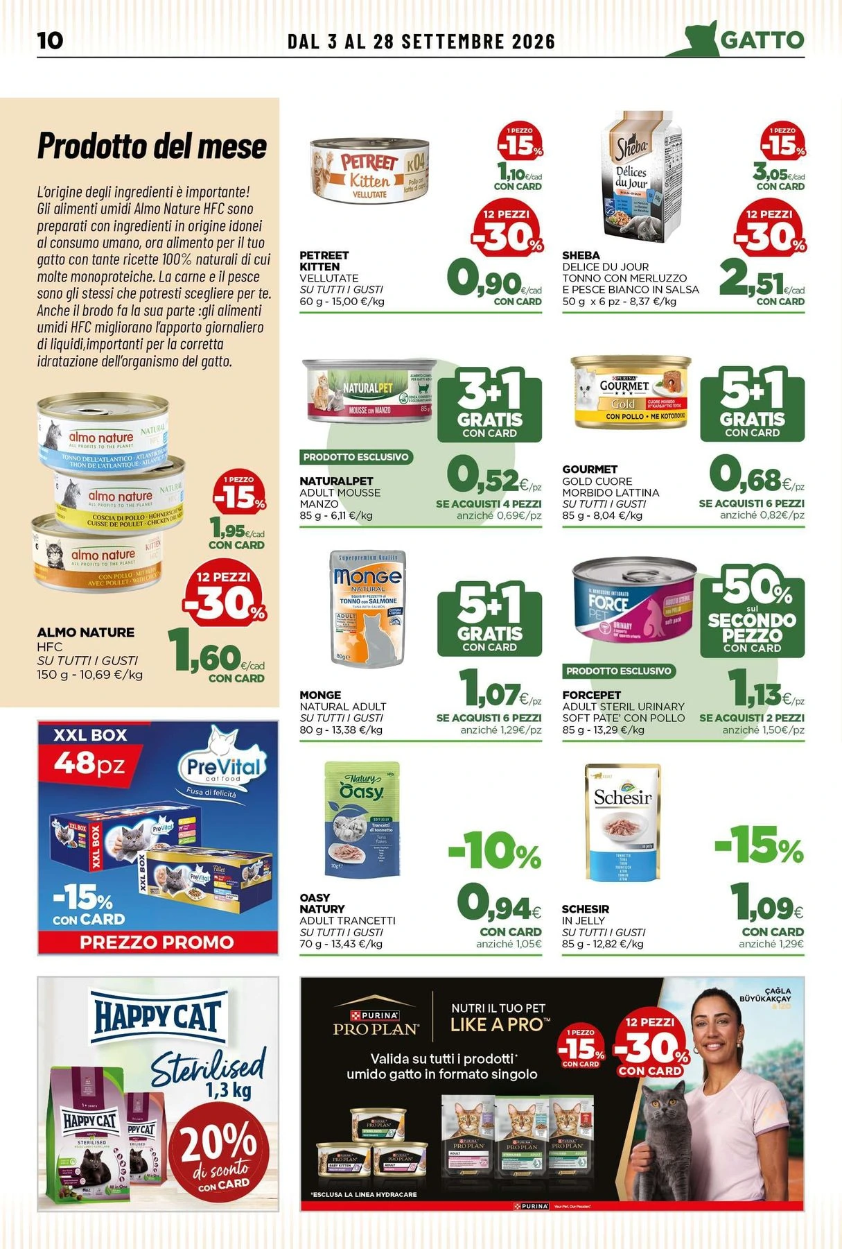 Flyer page 10
