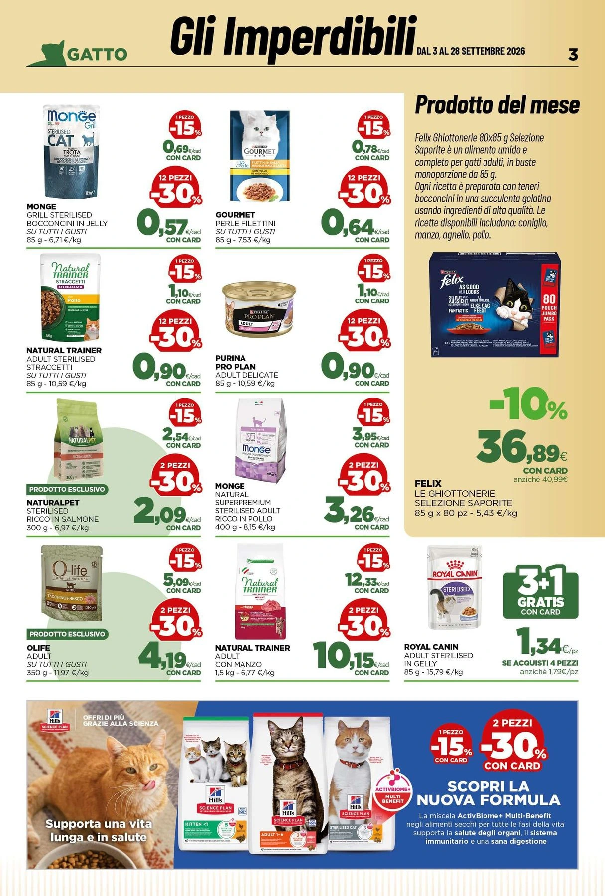 Flyer page 3