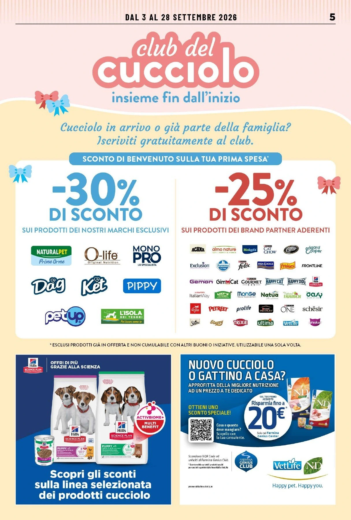 Flyer page 5