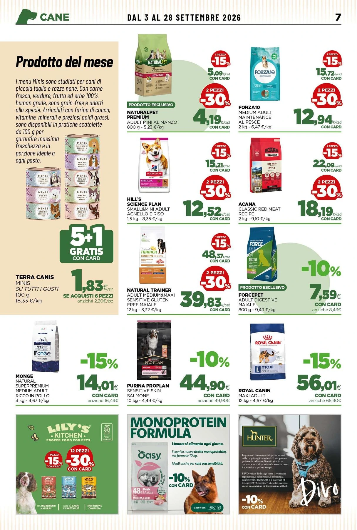 Flyer page 7