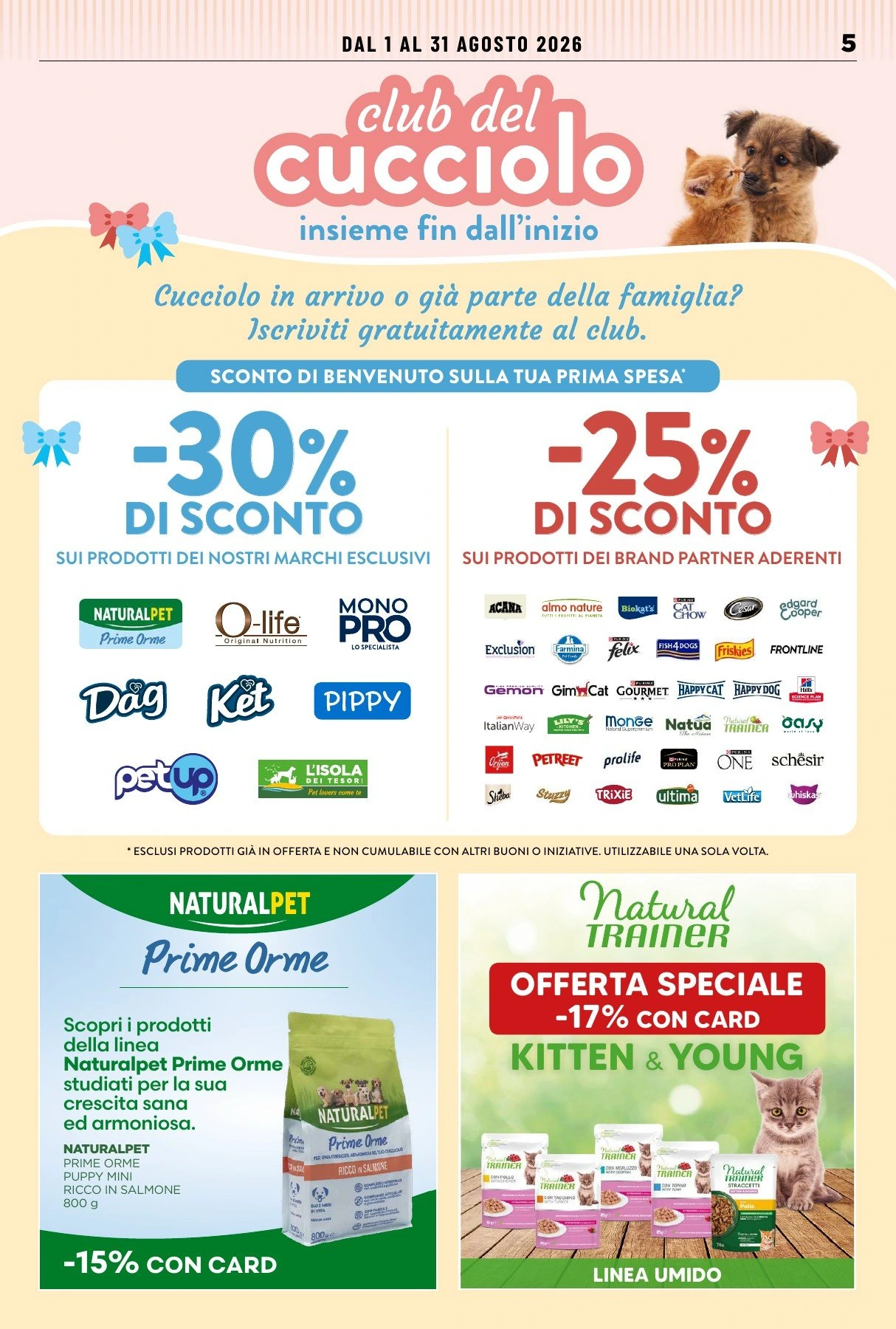 Flyer page 5