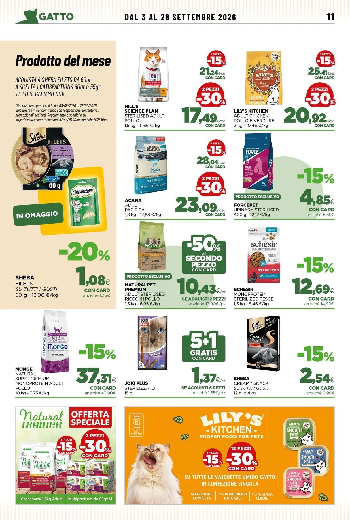 Flyer page 11