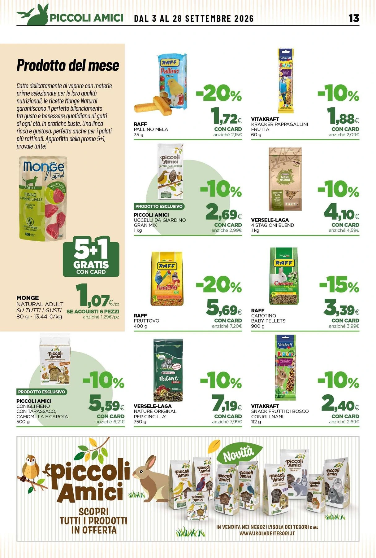 Flyer page 13