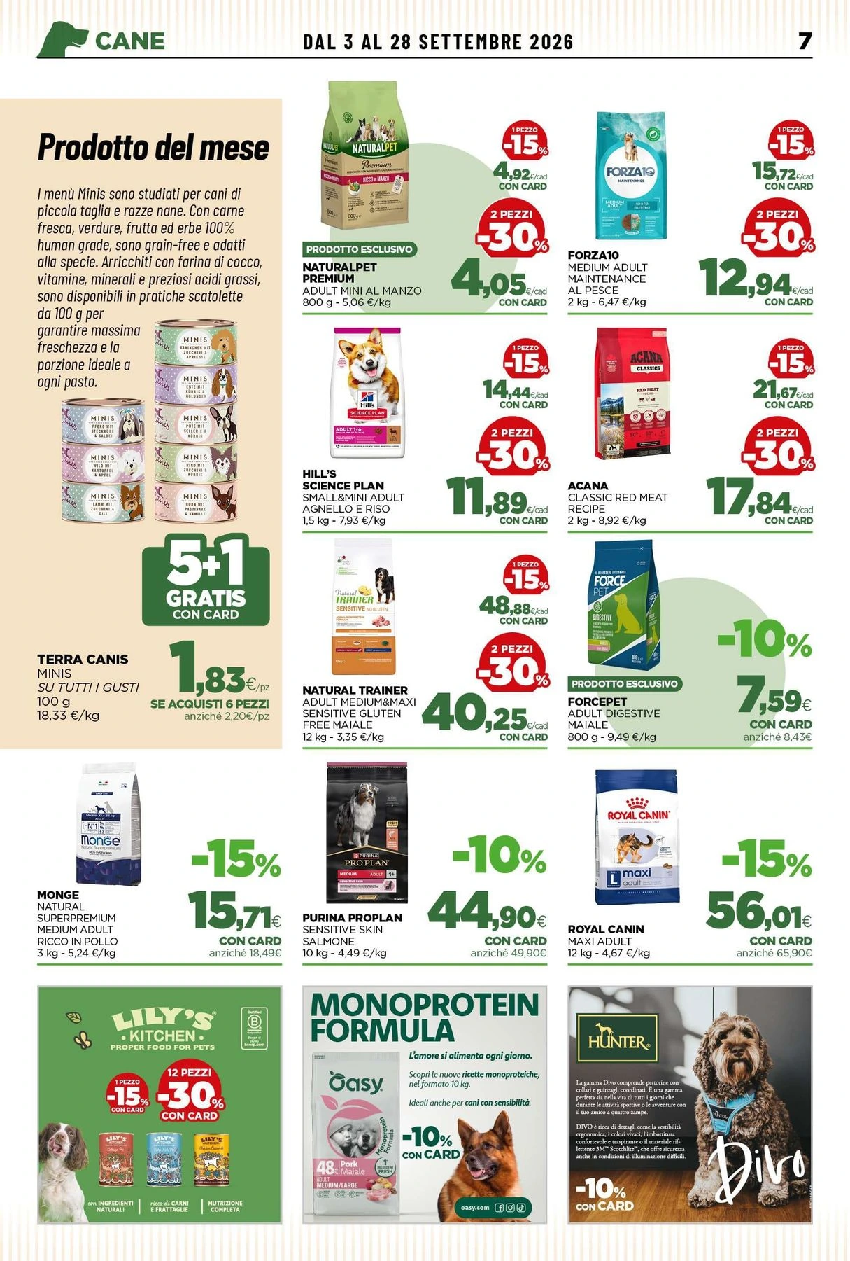 Flyer page 7