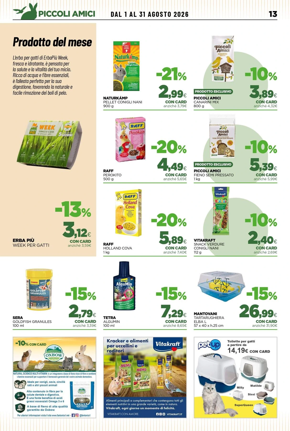 Flyer page 13