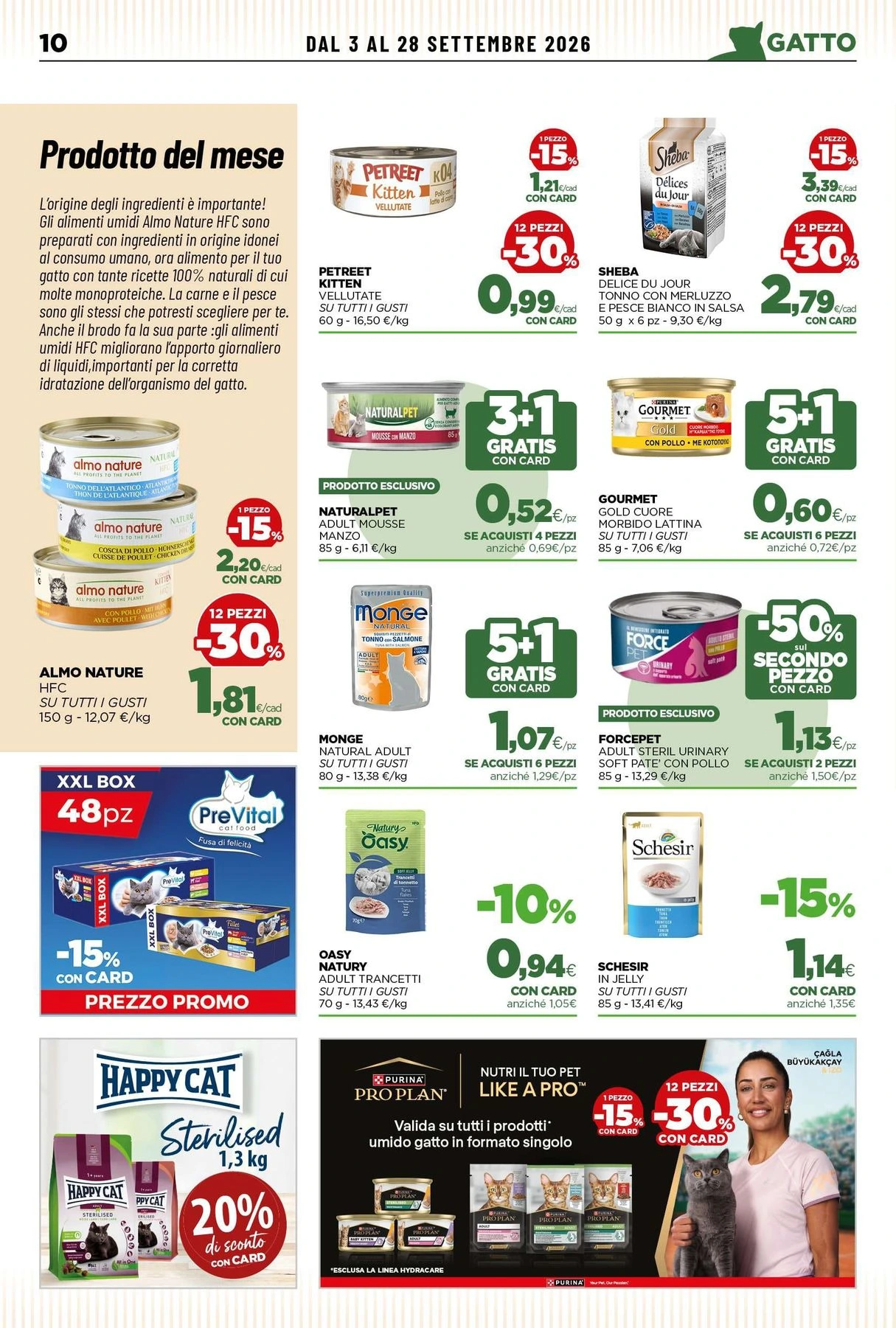 Flyer page 10
