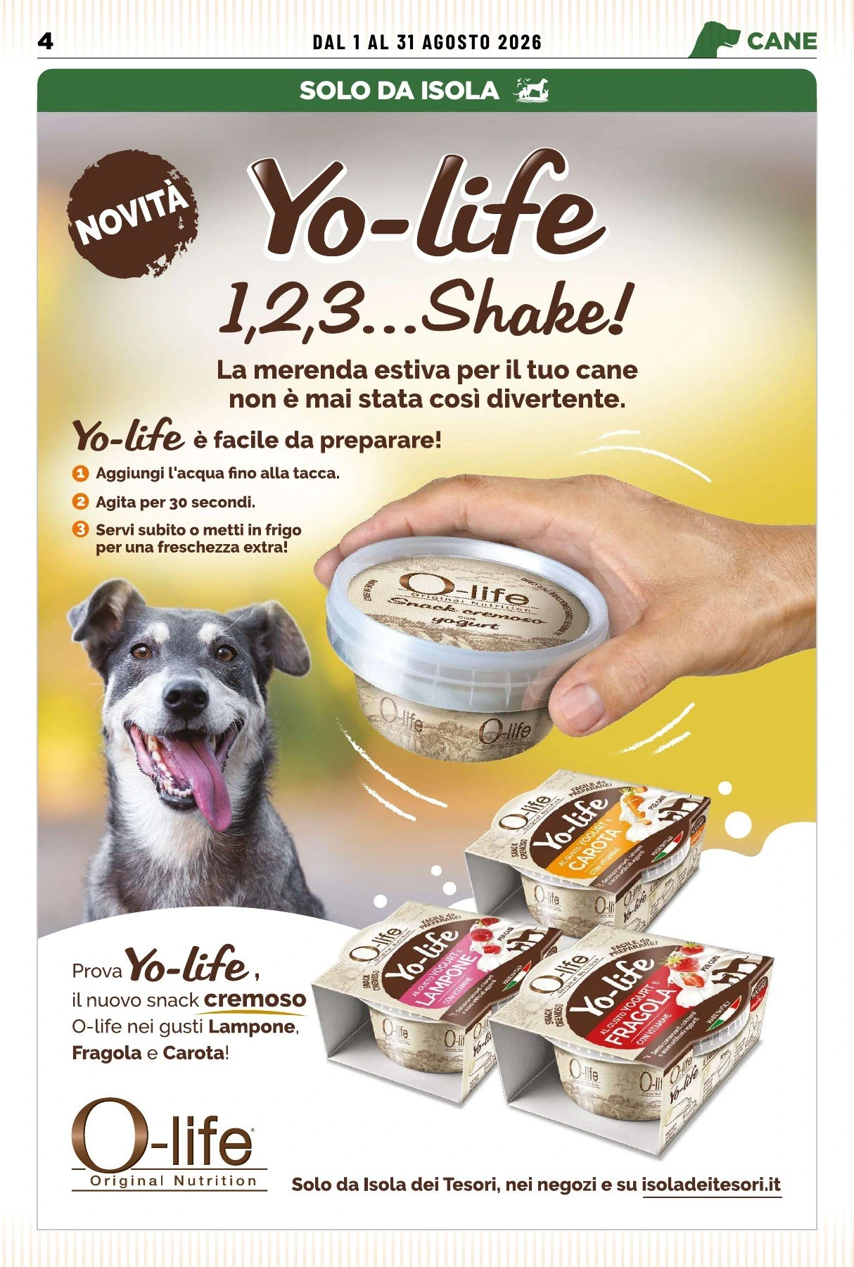 Flyer page 4