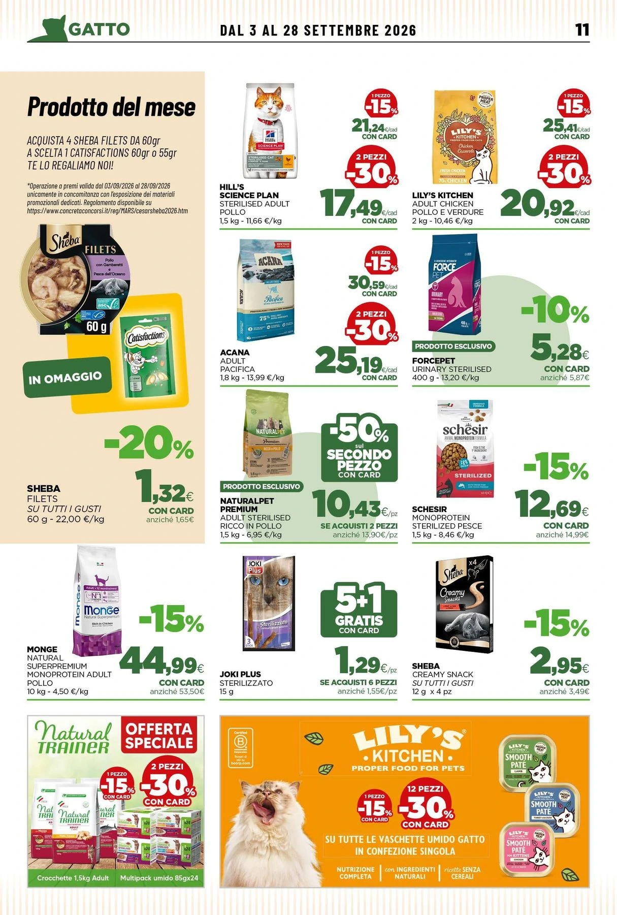 Flyer page 11