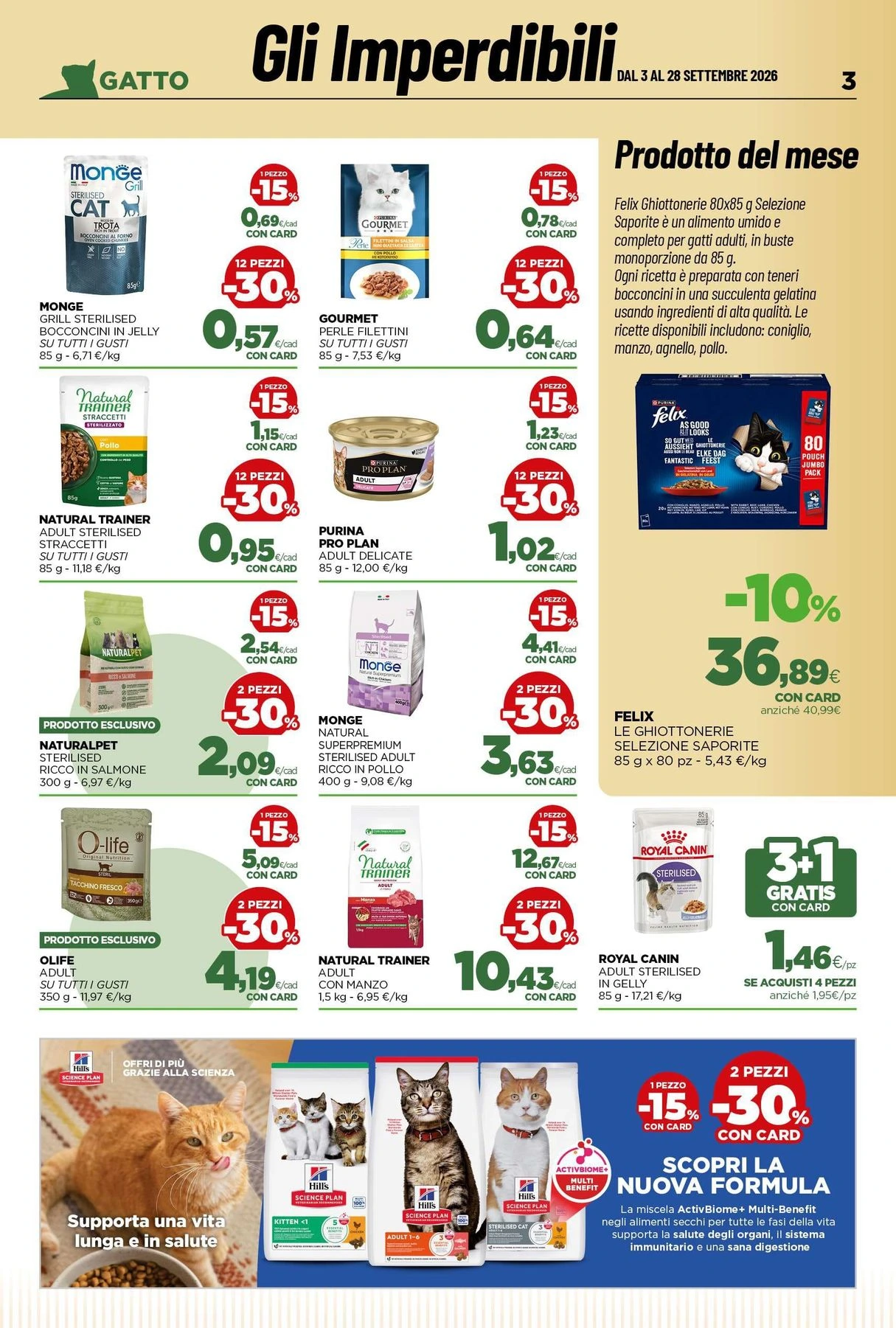 Flyer page 3
