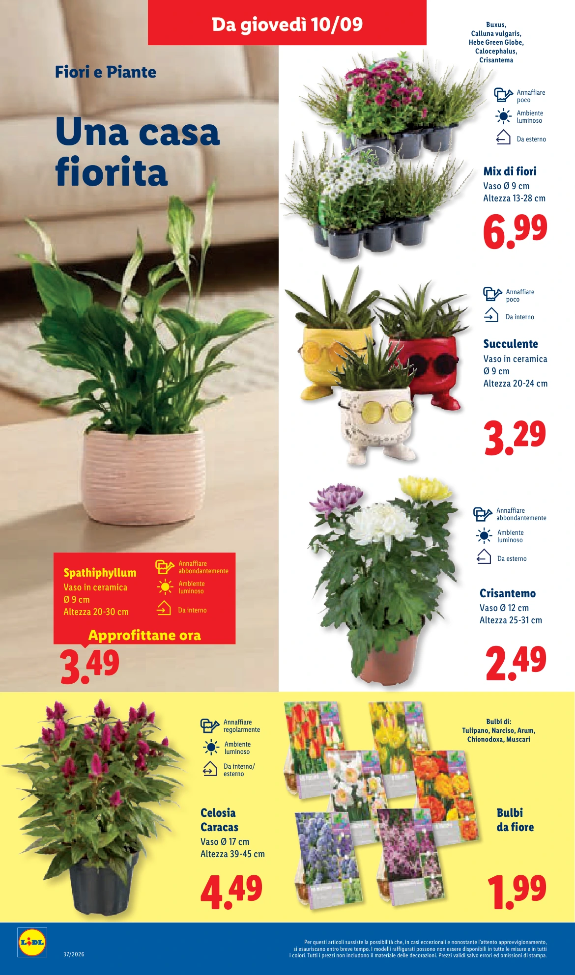 Flyer page 46