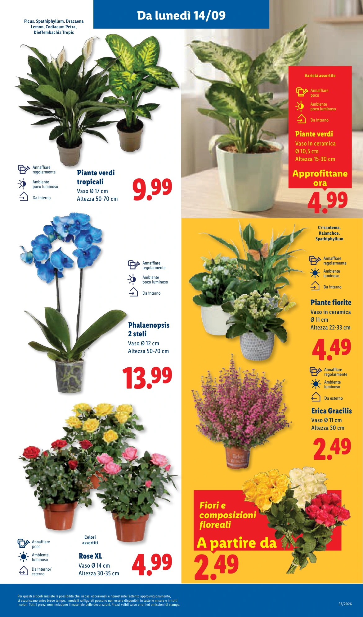 Flyer page 47