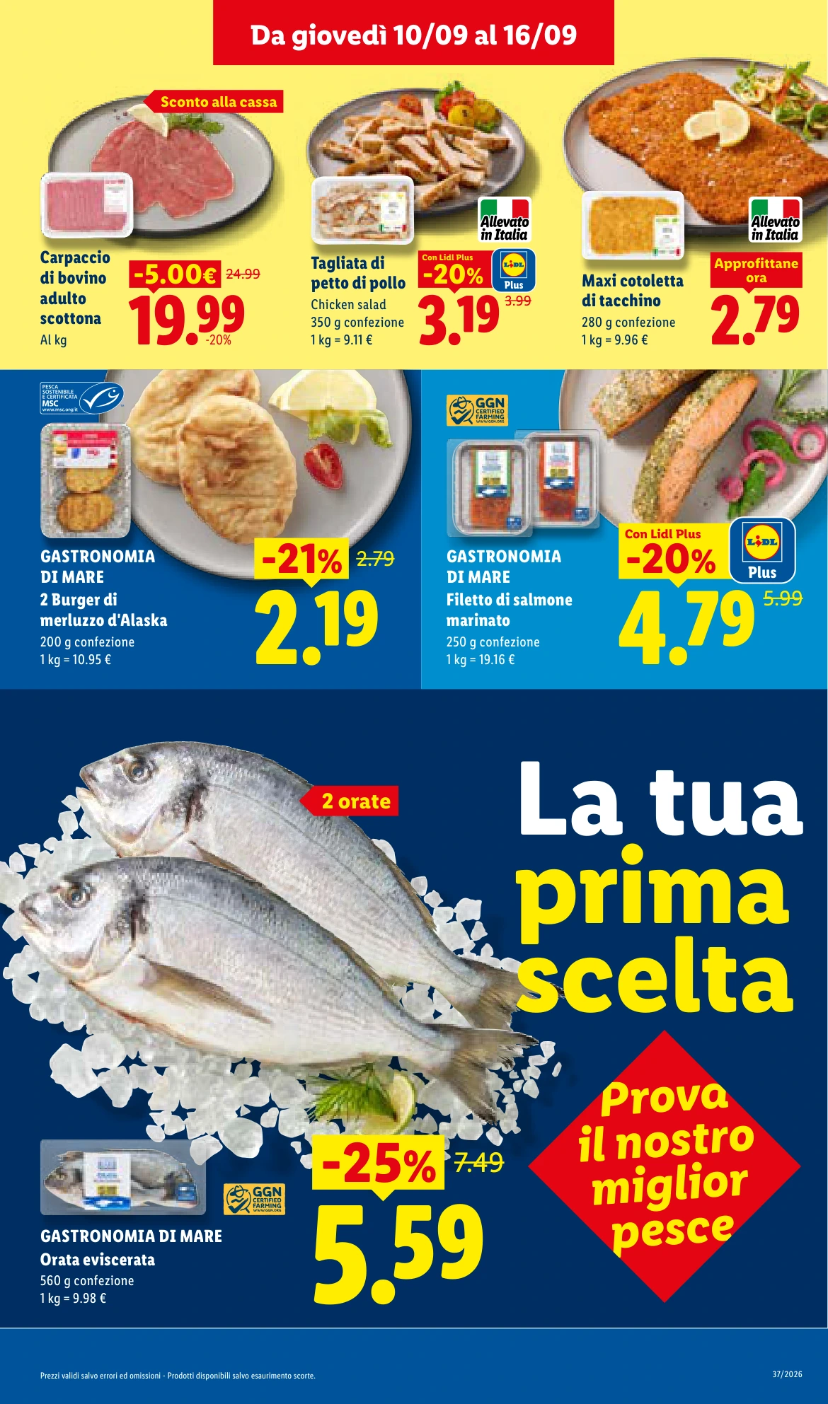 Flyer page 7
