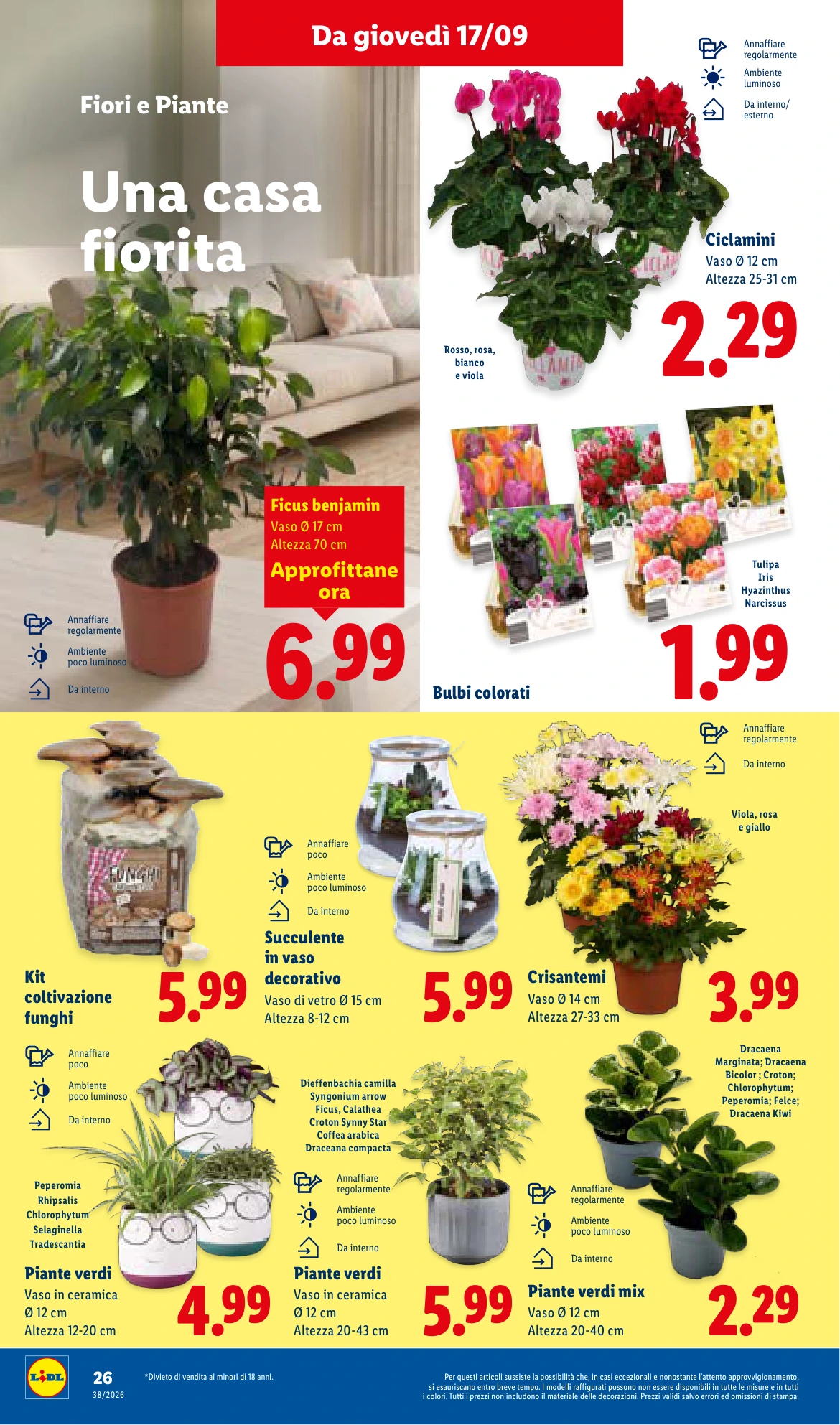 Flyer page 32