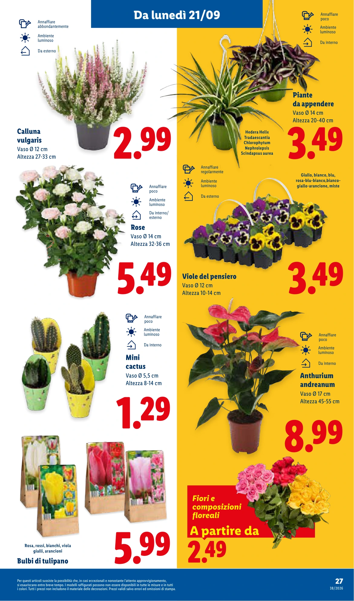 Flyer page 33