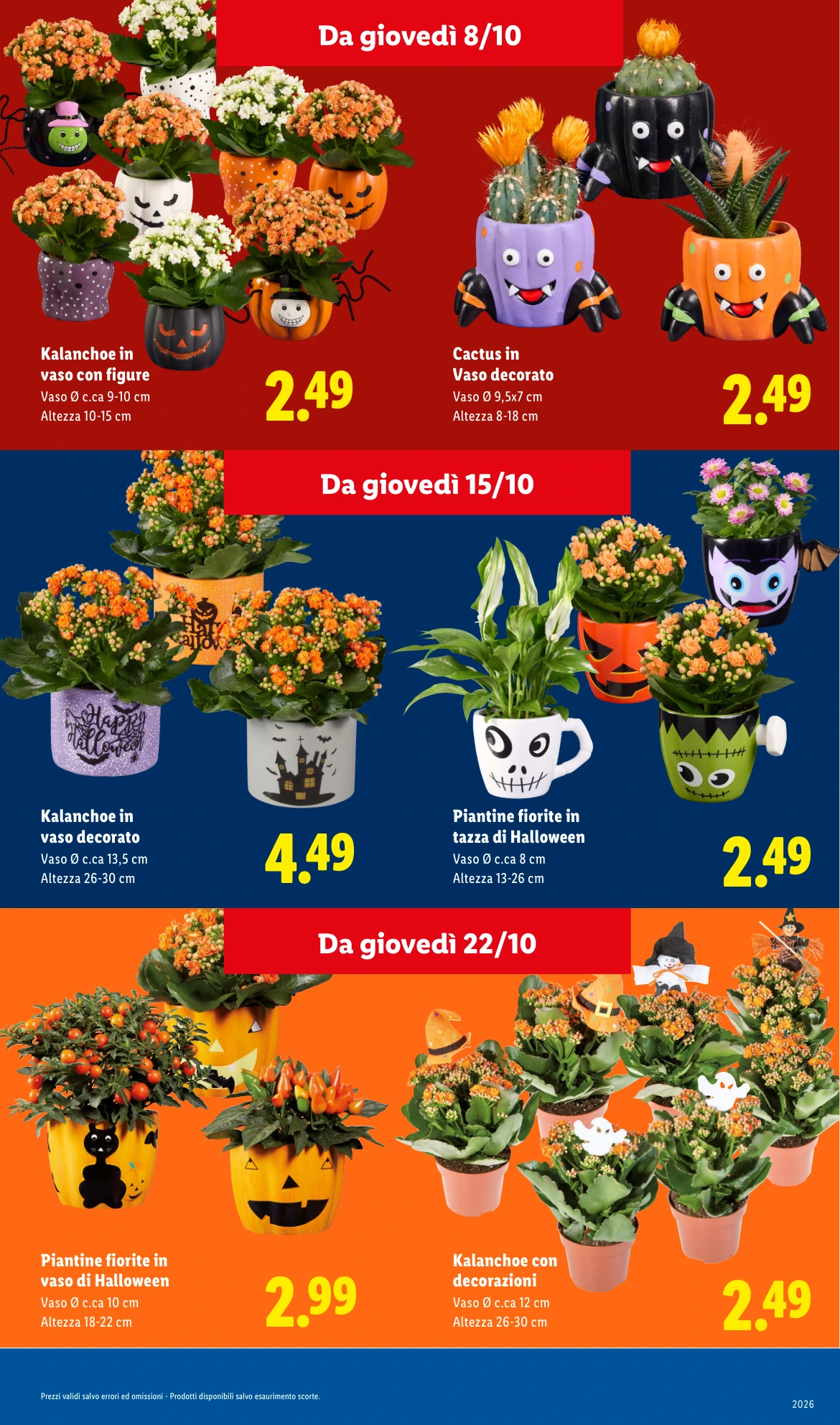 Flyer page 17
