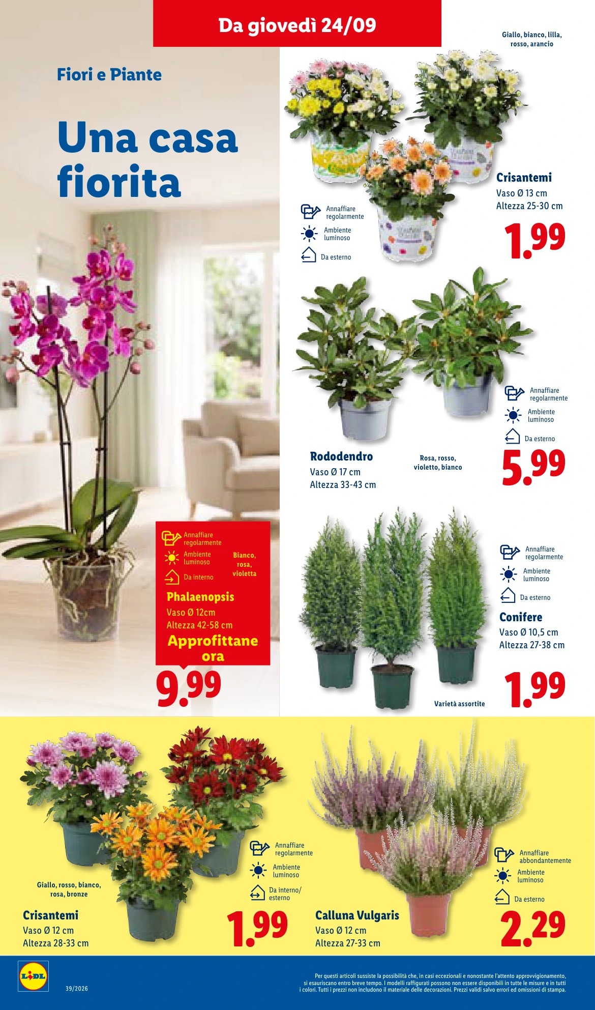 Flyer page 42