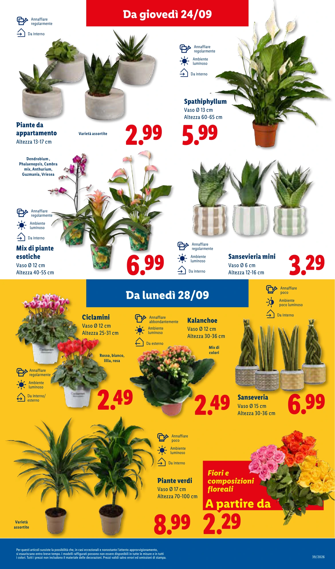 Flyer page 43
