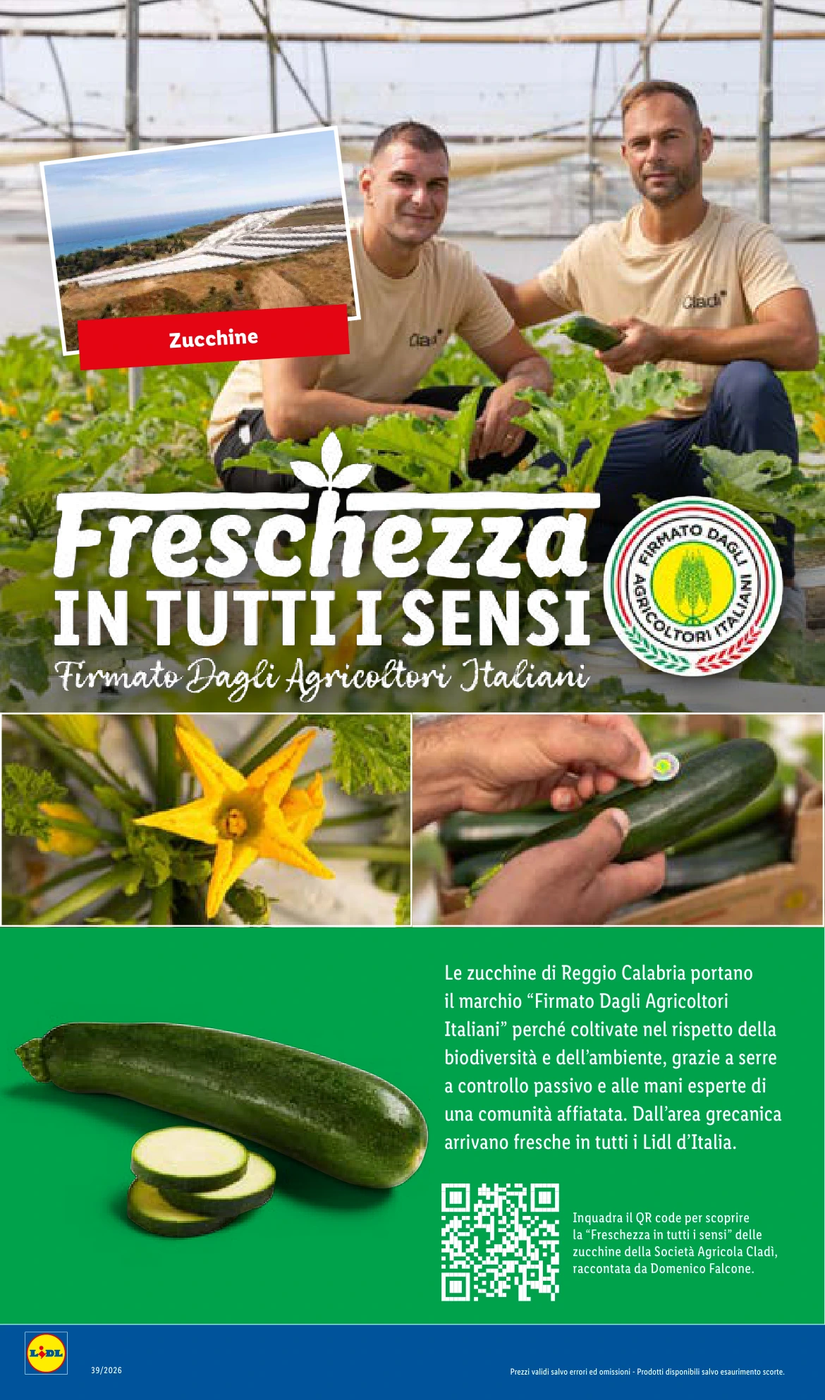 Flyer page 6
